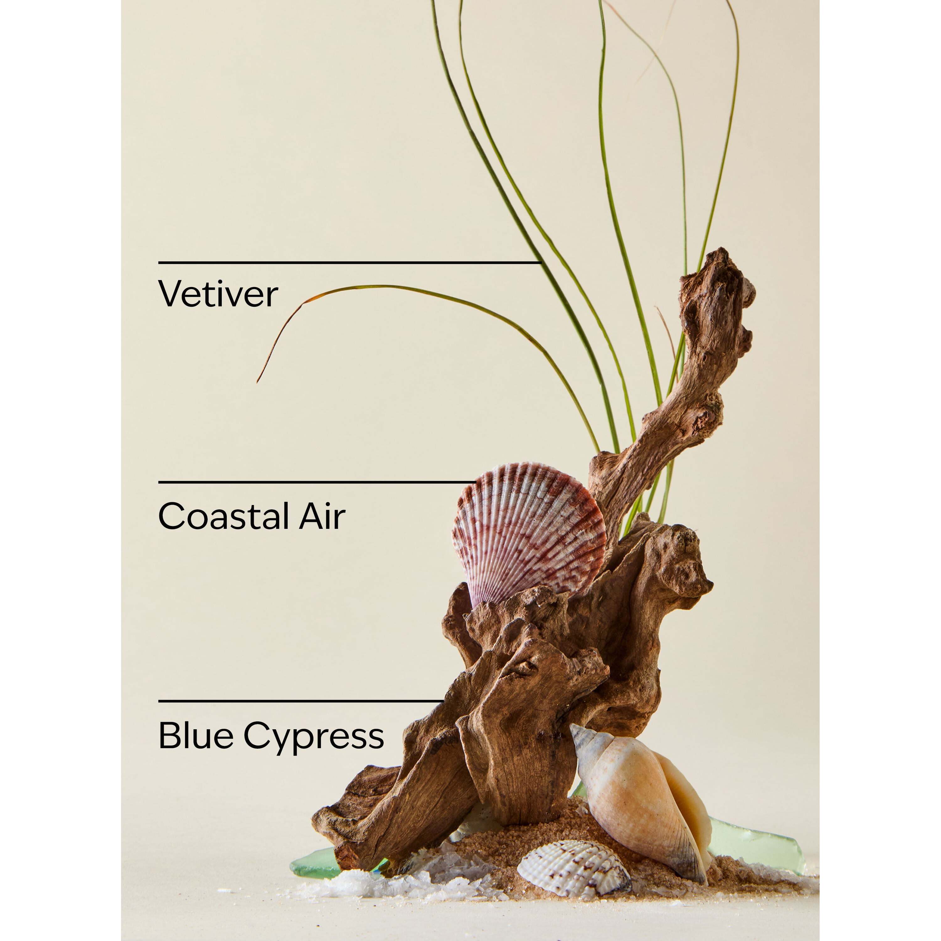 Ocean Mini Gift Box Set - Image 3