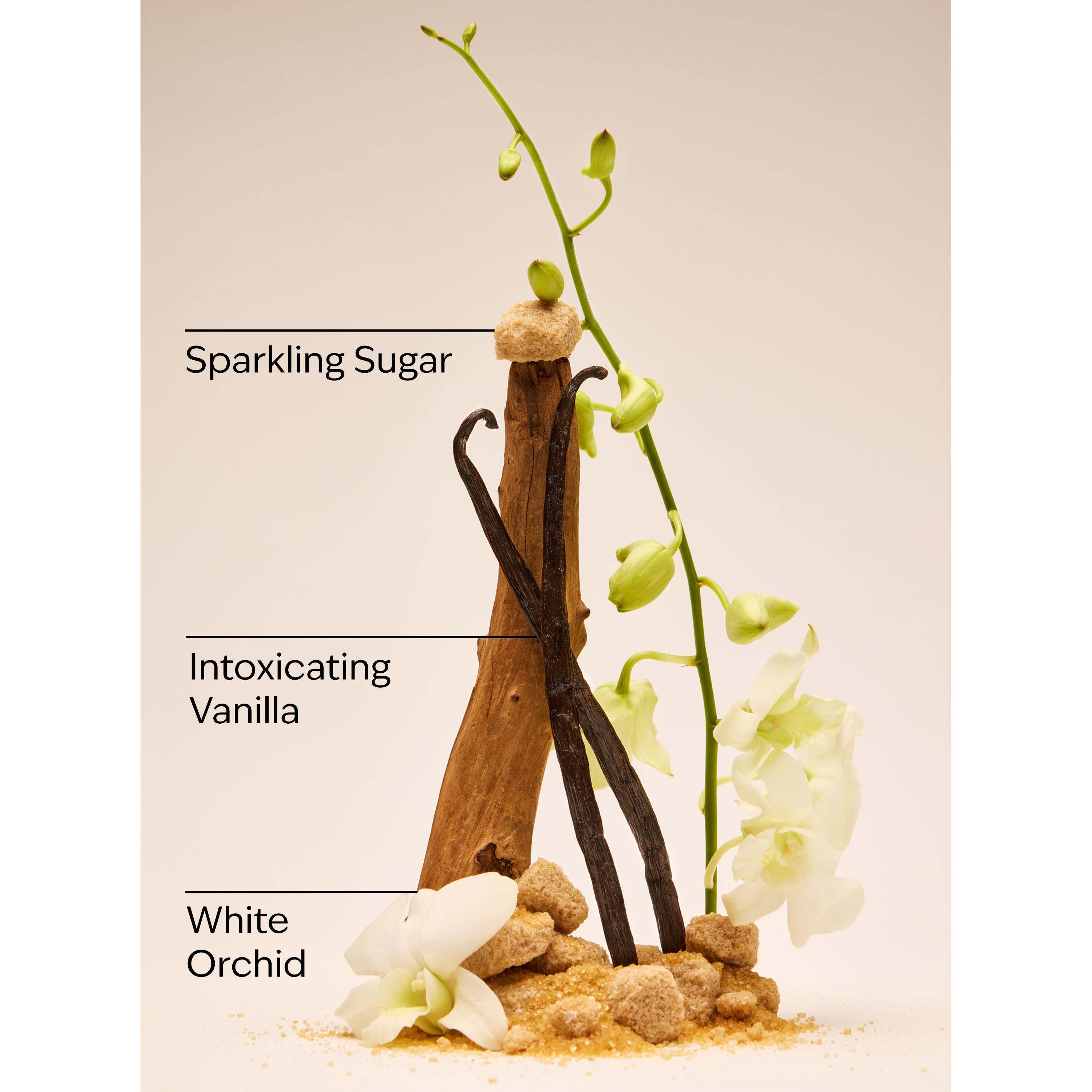 Warm Vanilla Sugar Mini Gift Set - Image 3