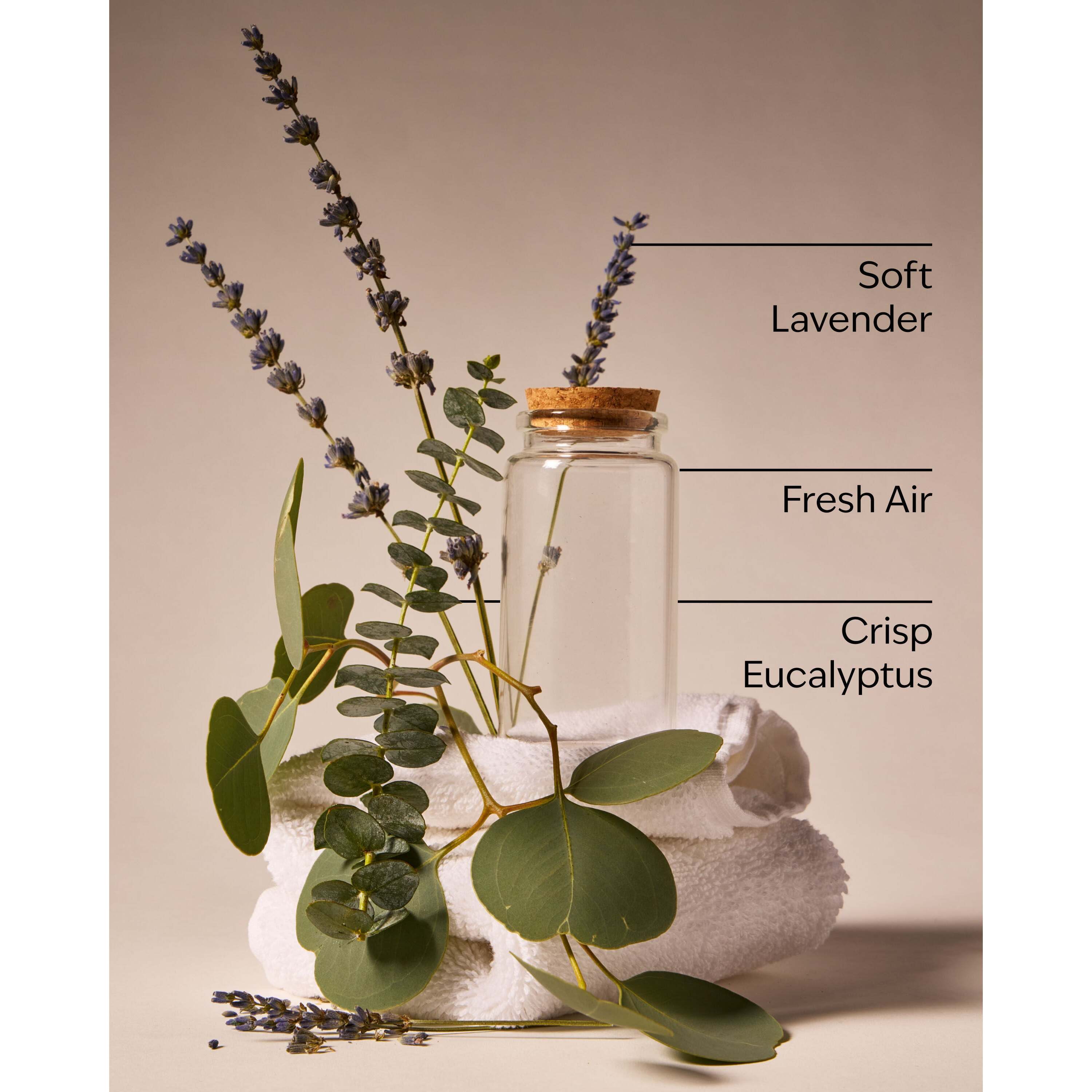 Laundry Day Wallflowers Refills 2-Pack - Image 3