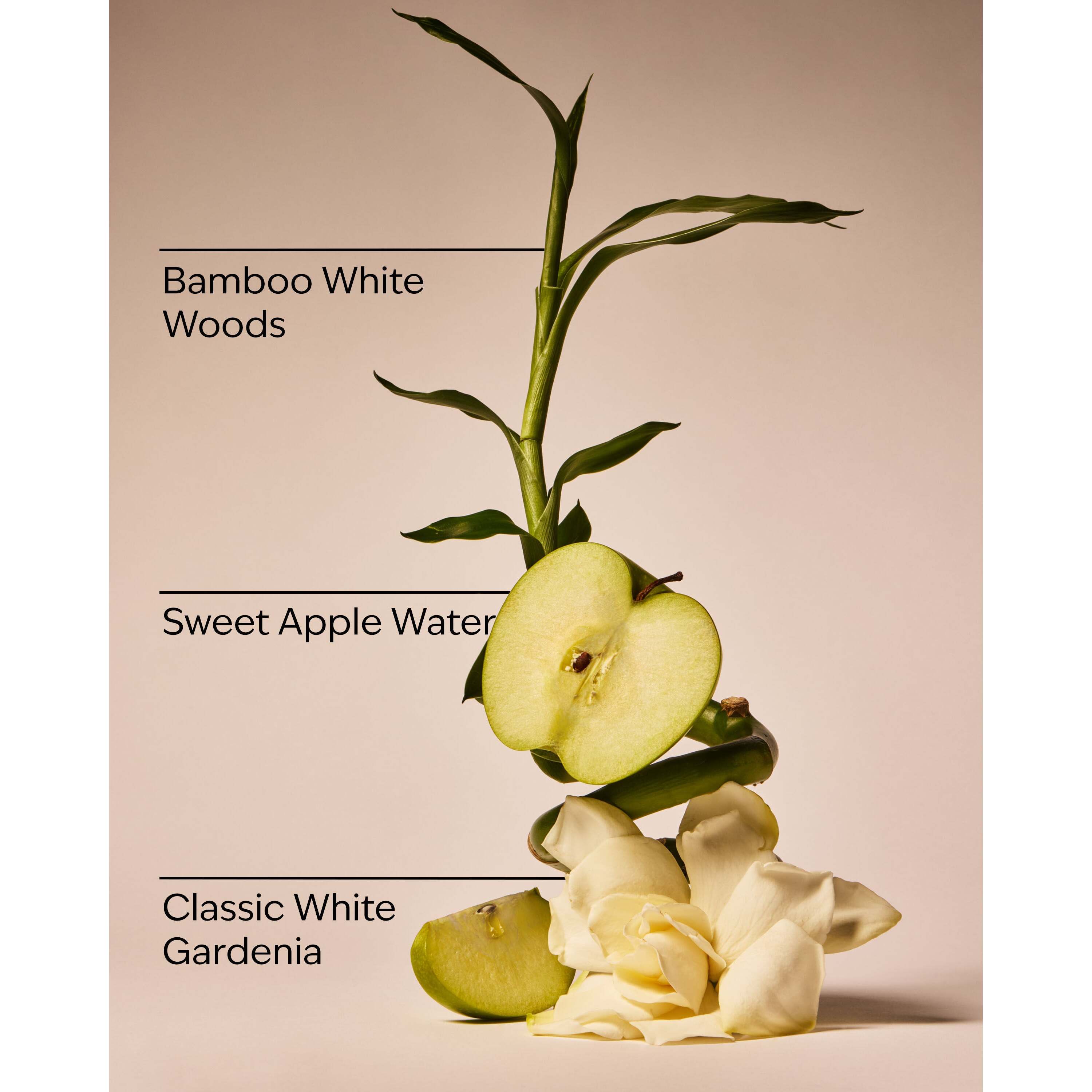 Rainforest Gardenia Wallflowers Refills 2-Pack - Image 3