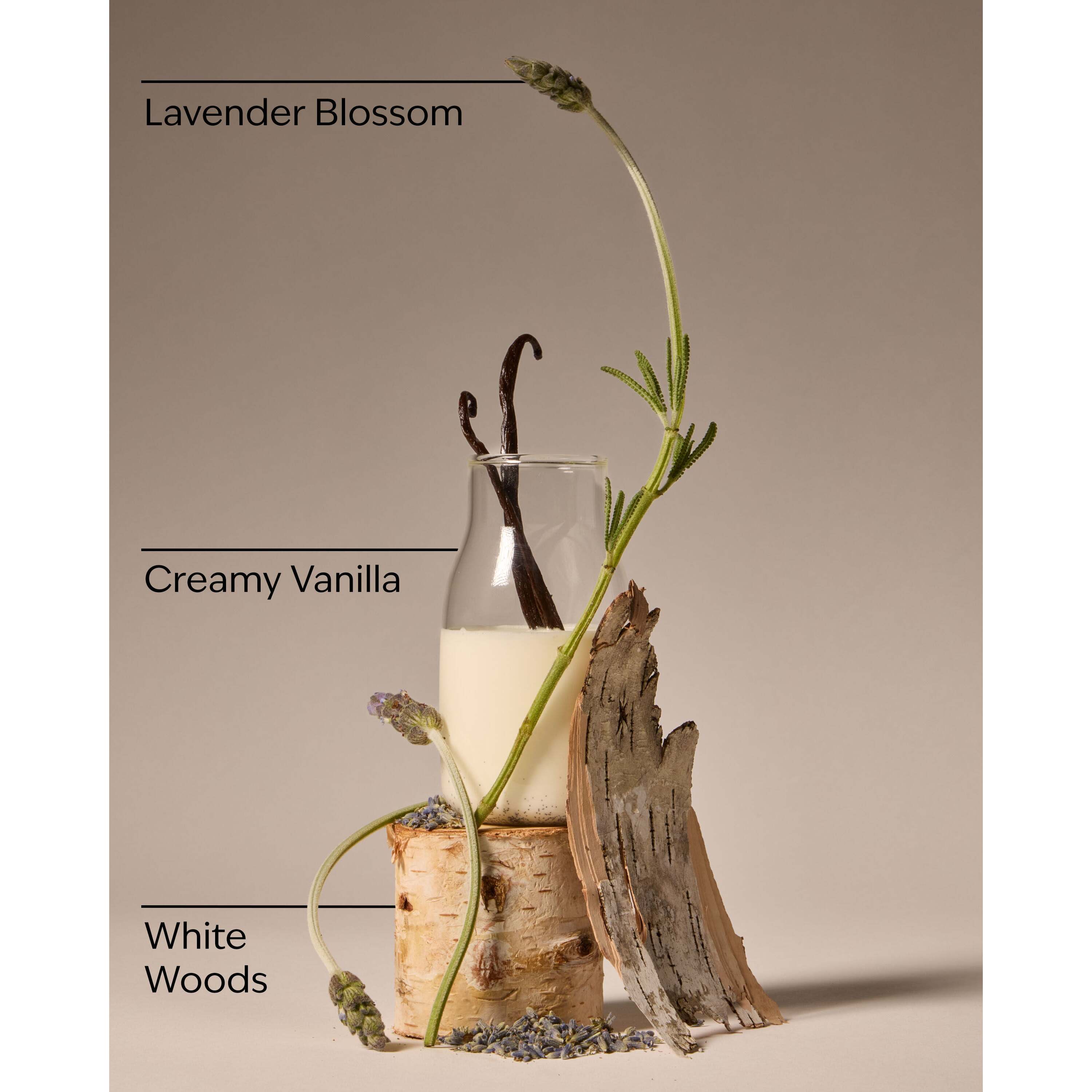 Lavender Vanilla Wallflowers Refills 2-Pack - Image 3