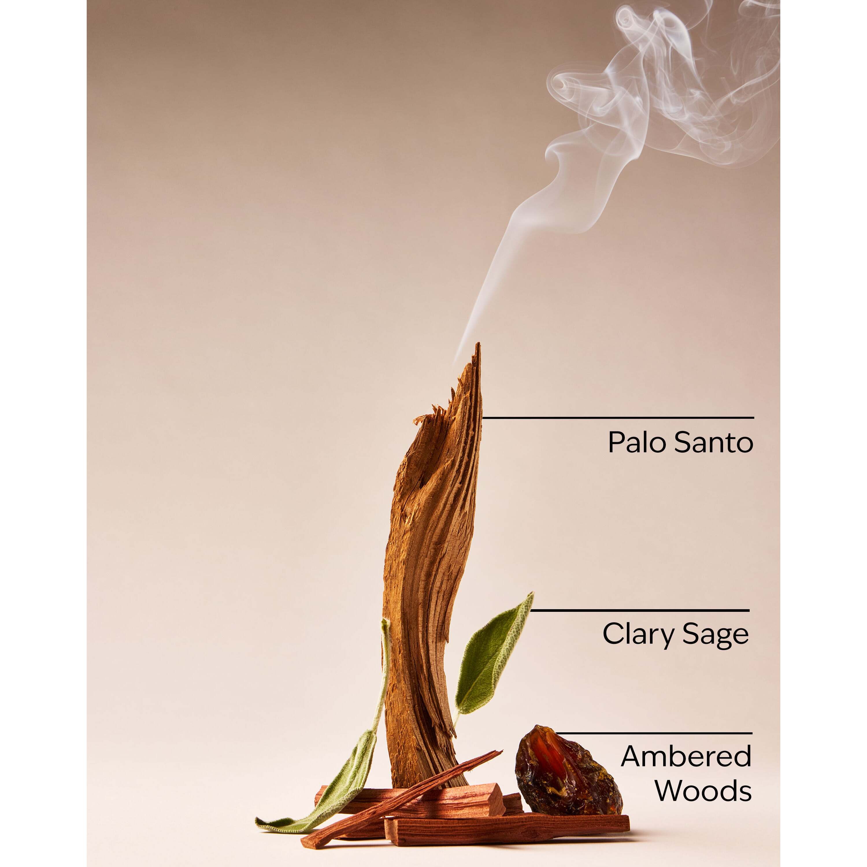 Palo Santo & Sage Wallflowers Refills 2-Pack - Image 3