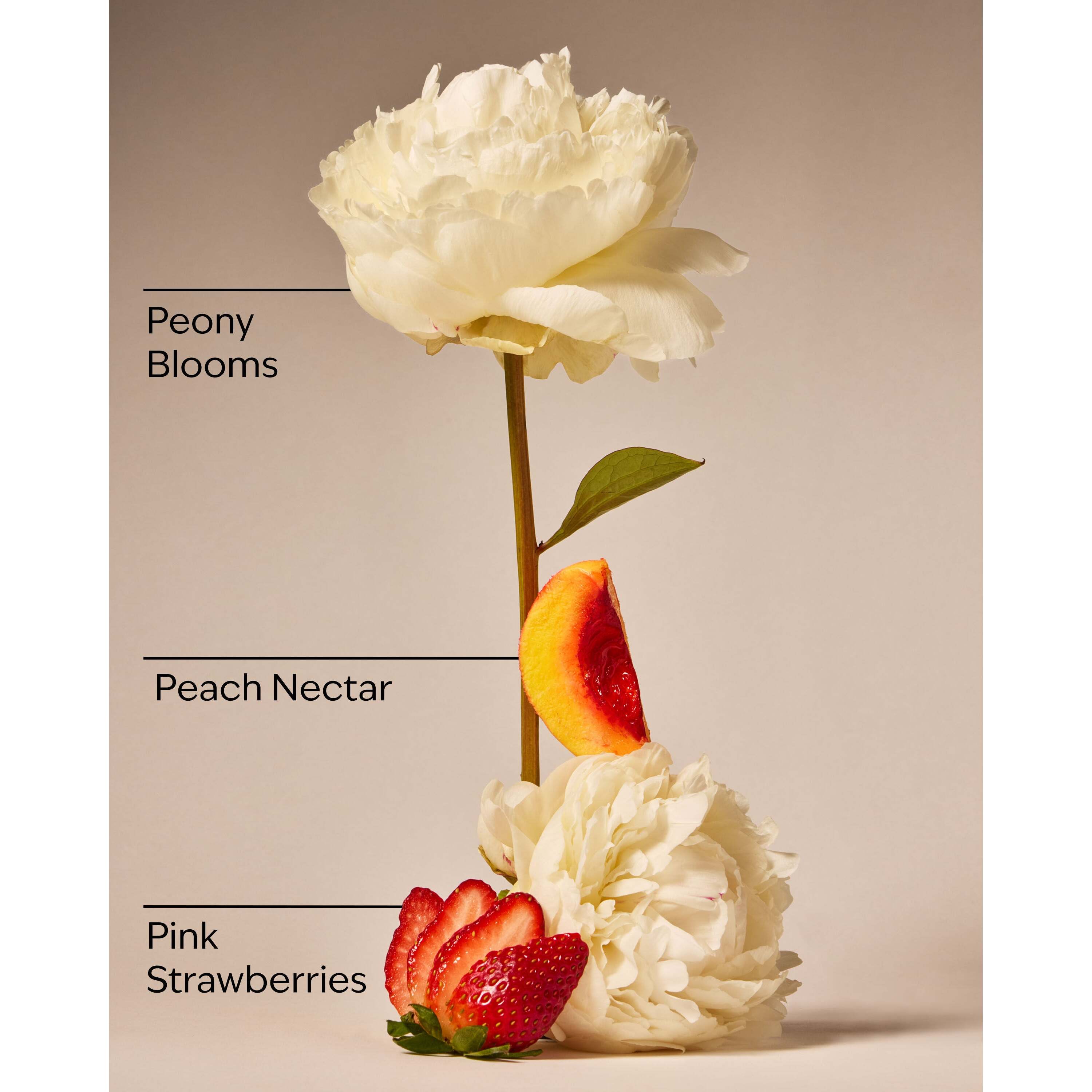 Gingham Gorgeous Fine Fragrance Mist - Image 3