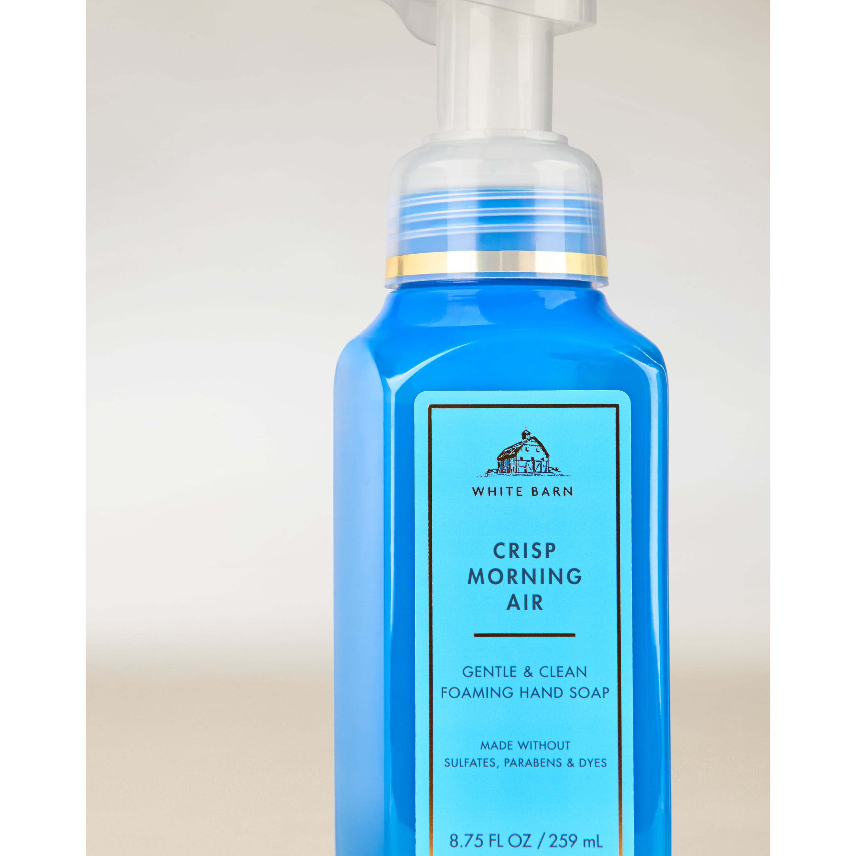 Crisp Morning Air Gentle & Clean Foaming Hand Soap - Image 2