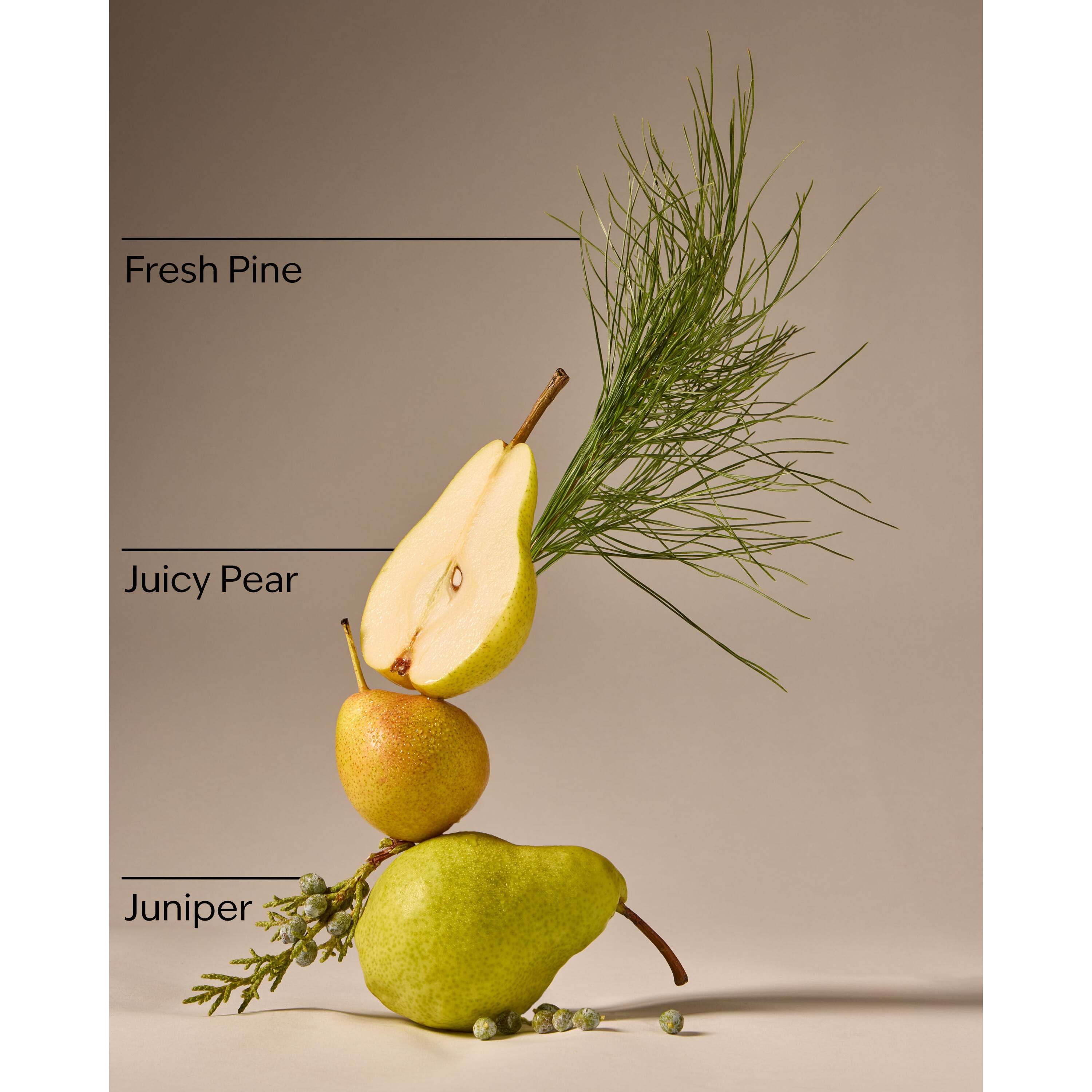 Crisp Morning Air Gentle & Clean Foaming Hand Soap - Image 3