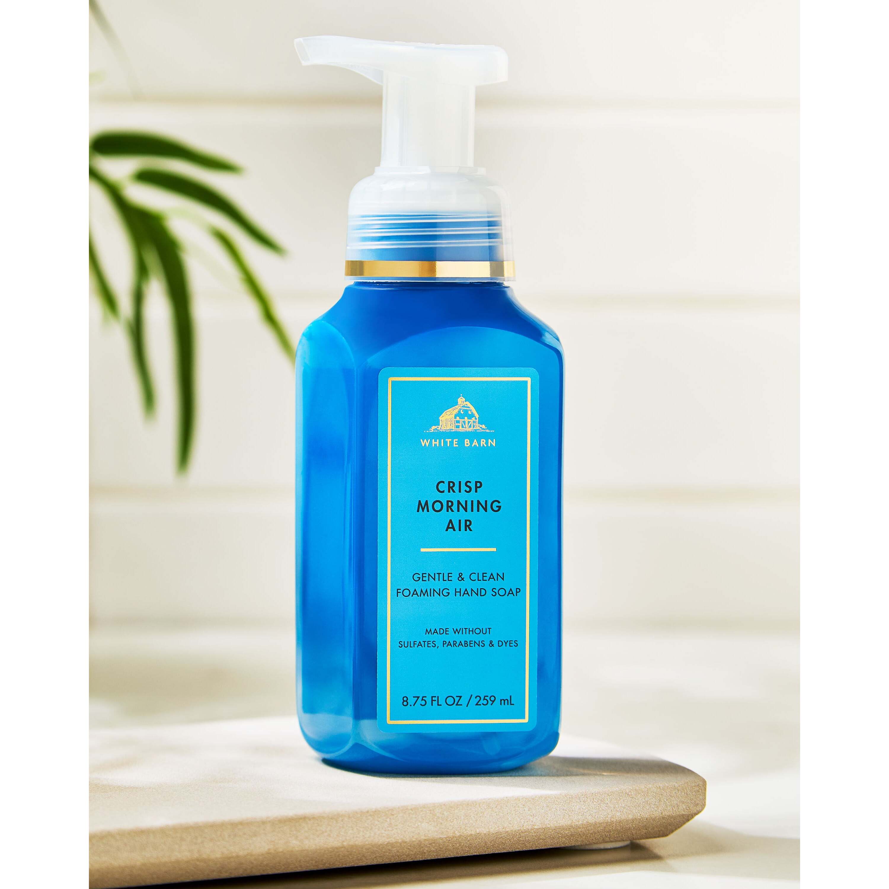 Crisp Morning Air Gentle & Clean Foaming Hand Soap - Image 7