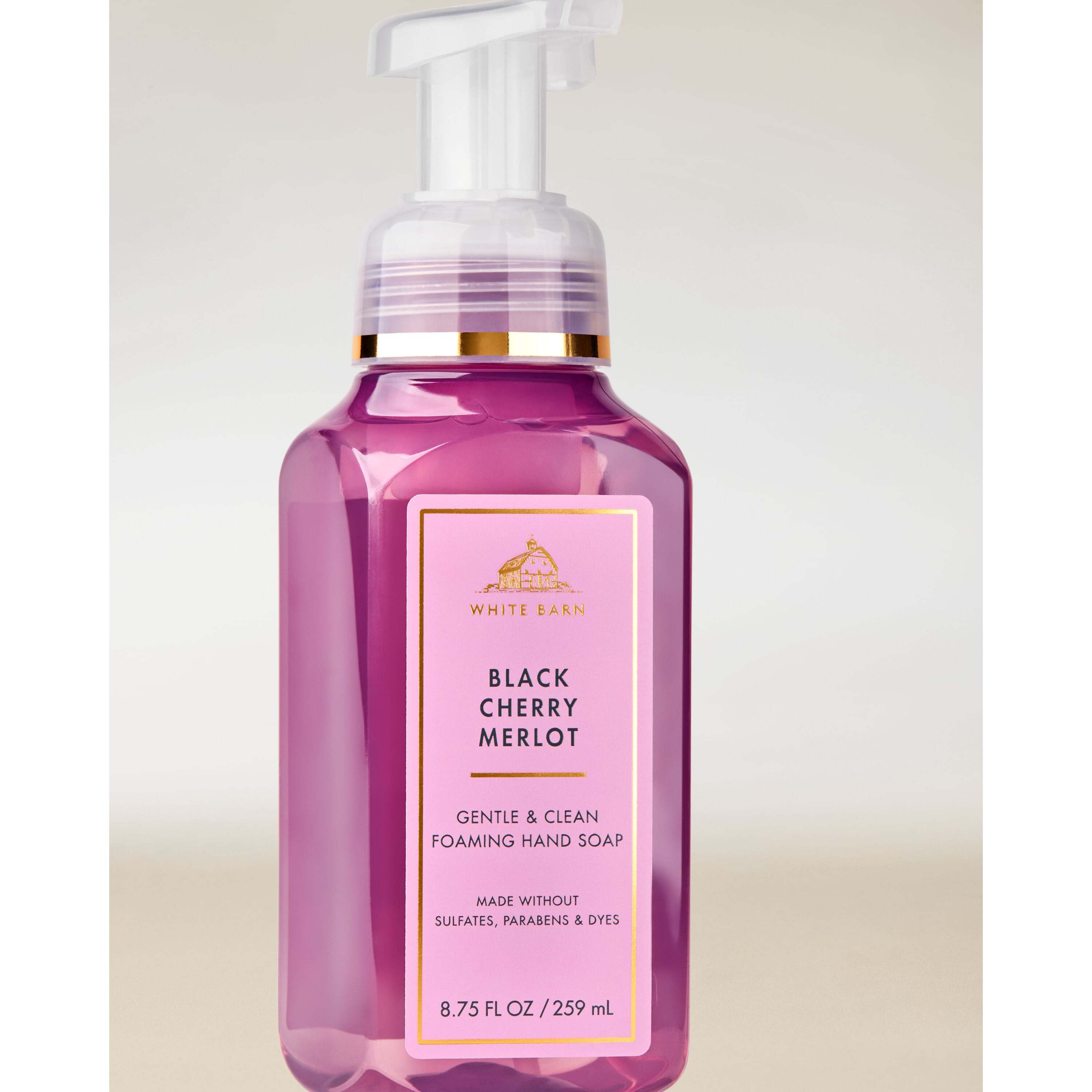 Black Cherry Merlot Gentle & Clean Foaming Hand Soap - Image 2