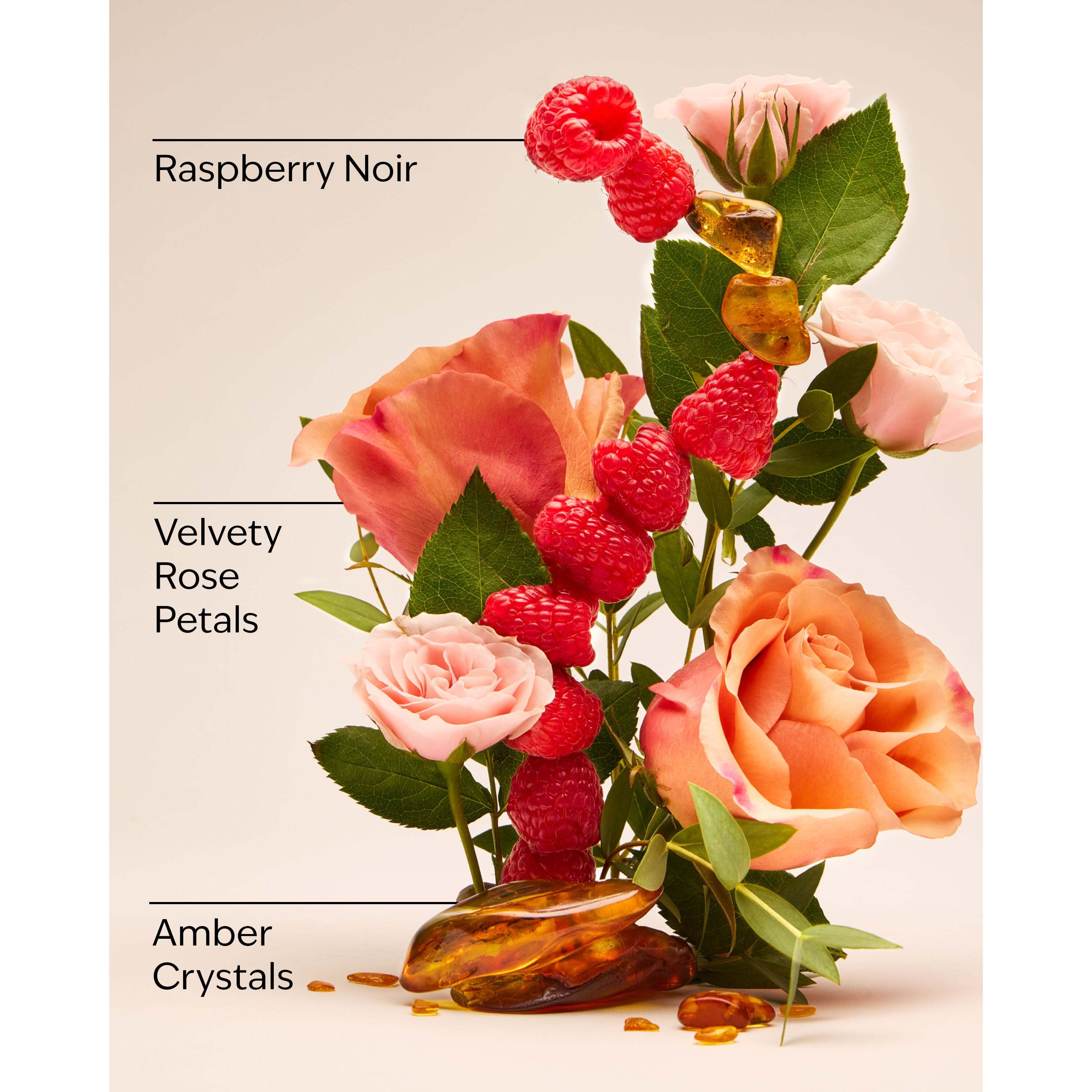 Into The Night Fine Fragrance Mist - Image 3