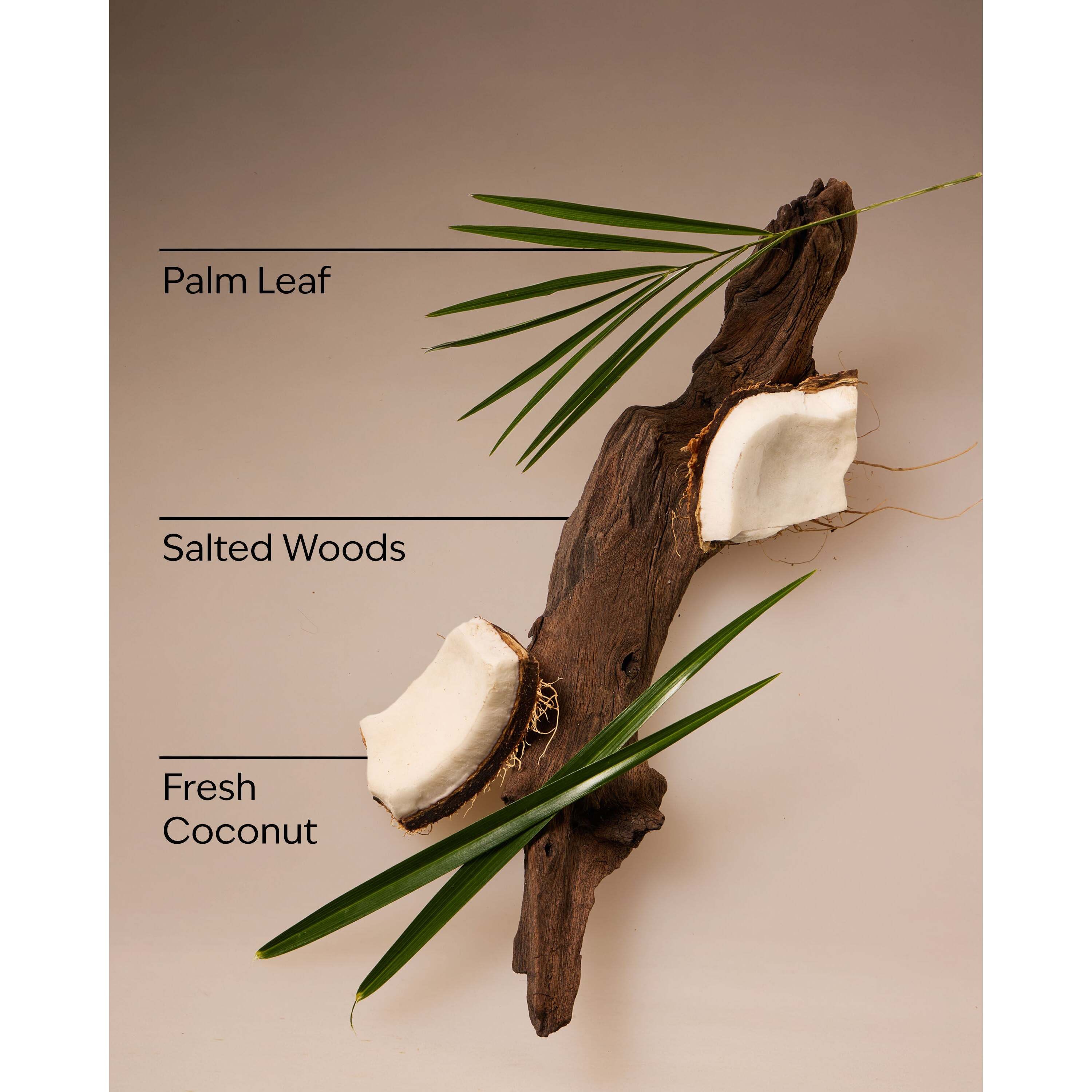 Coconut Nectar Travel Size Fine Fragrance Mist - Image 3