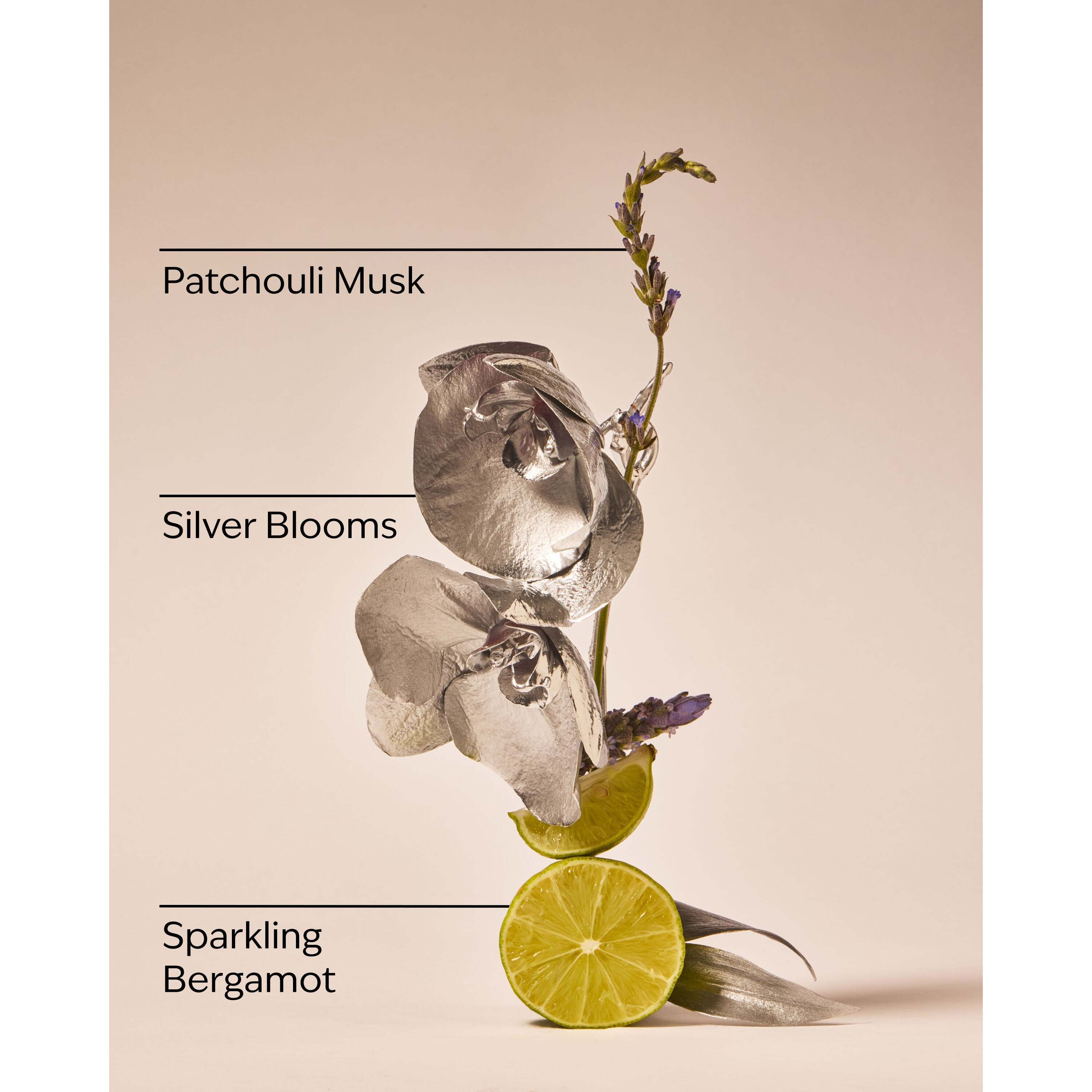 Platinum Body Wash - Image 3