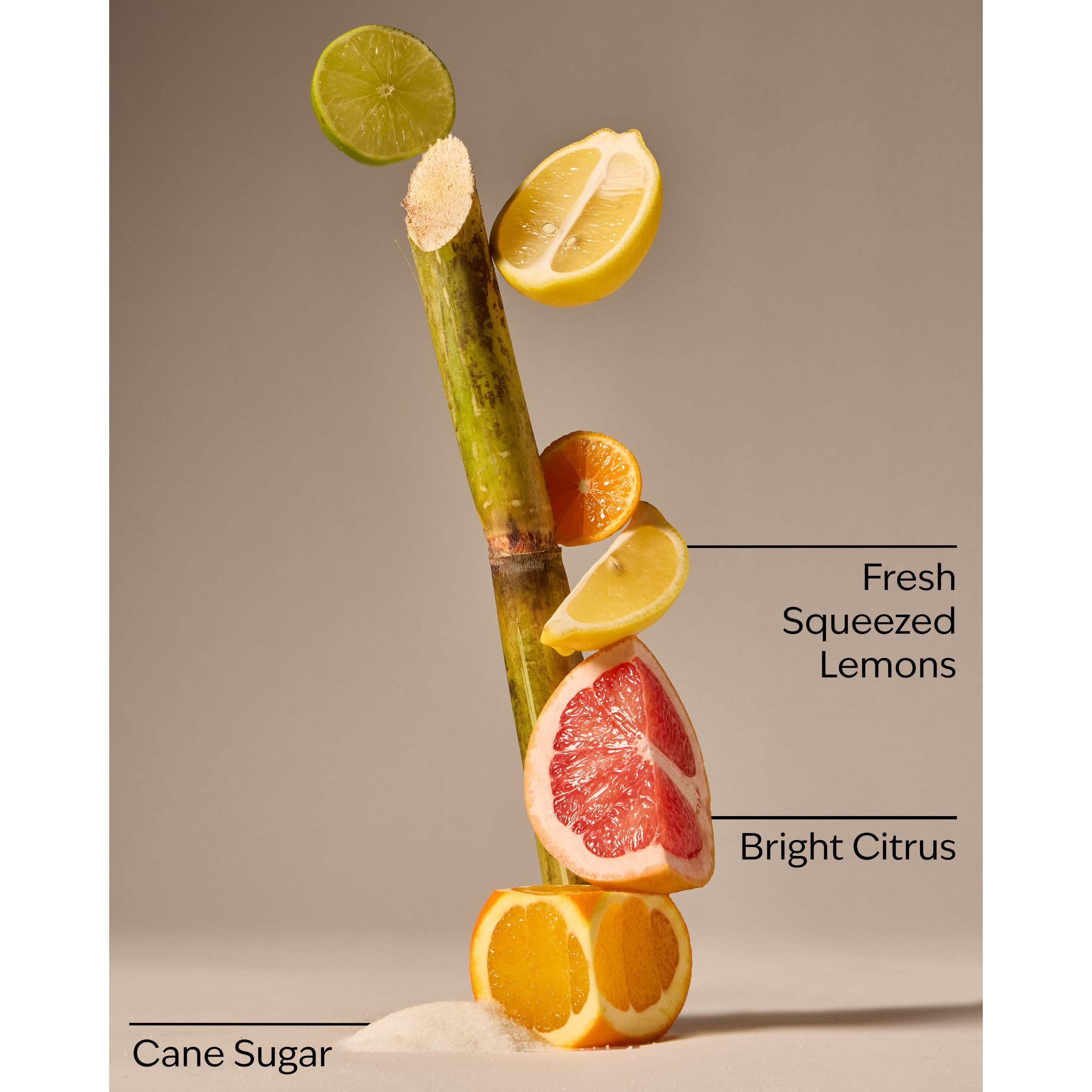 Sunshine & Lemons Moisturizing Pocketbac Hand Sanitizer - Image 3