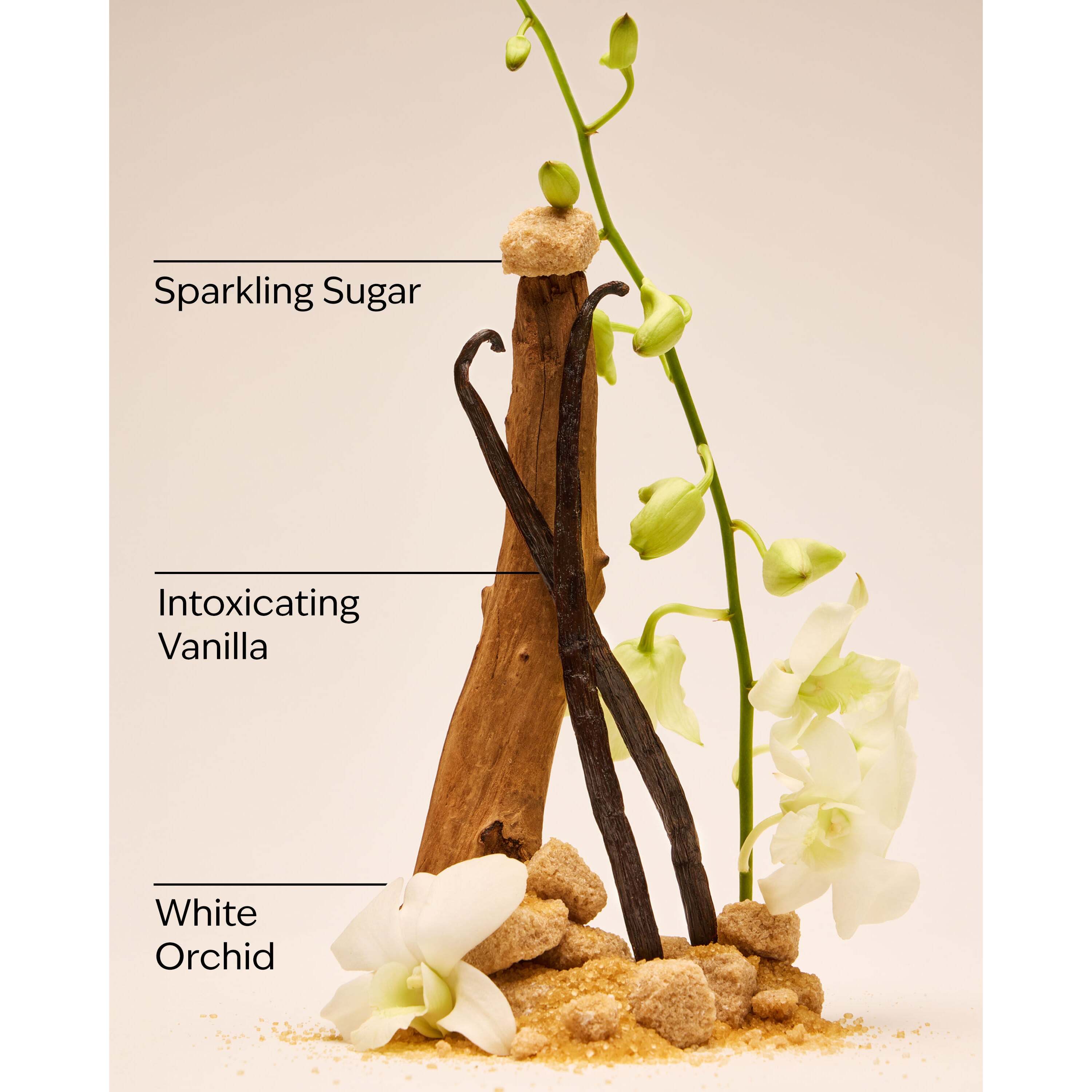 Warm Vanilla Sugar Hand Cream - Image 3