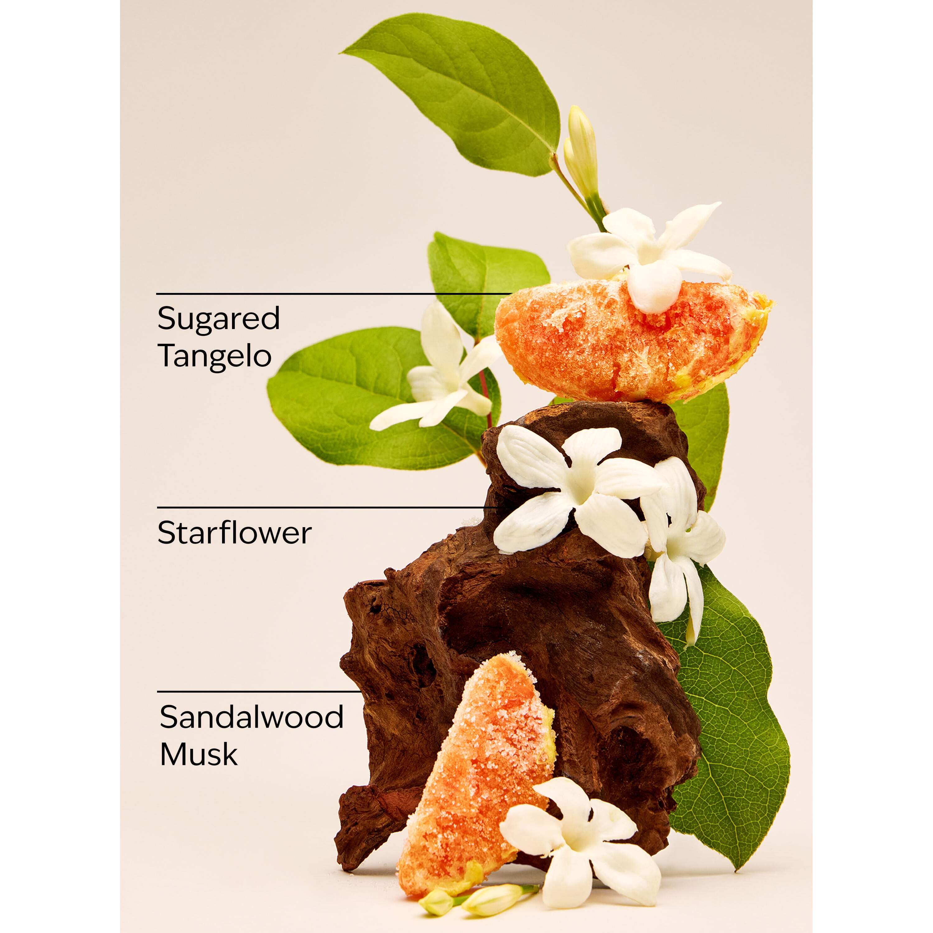 In The Stars Wallflowers Fragrance Refill - Image 3