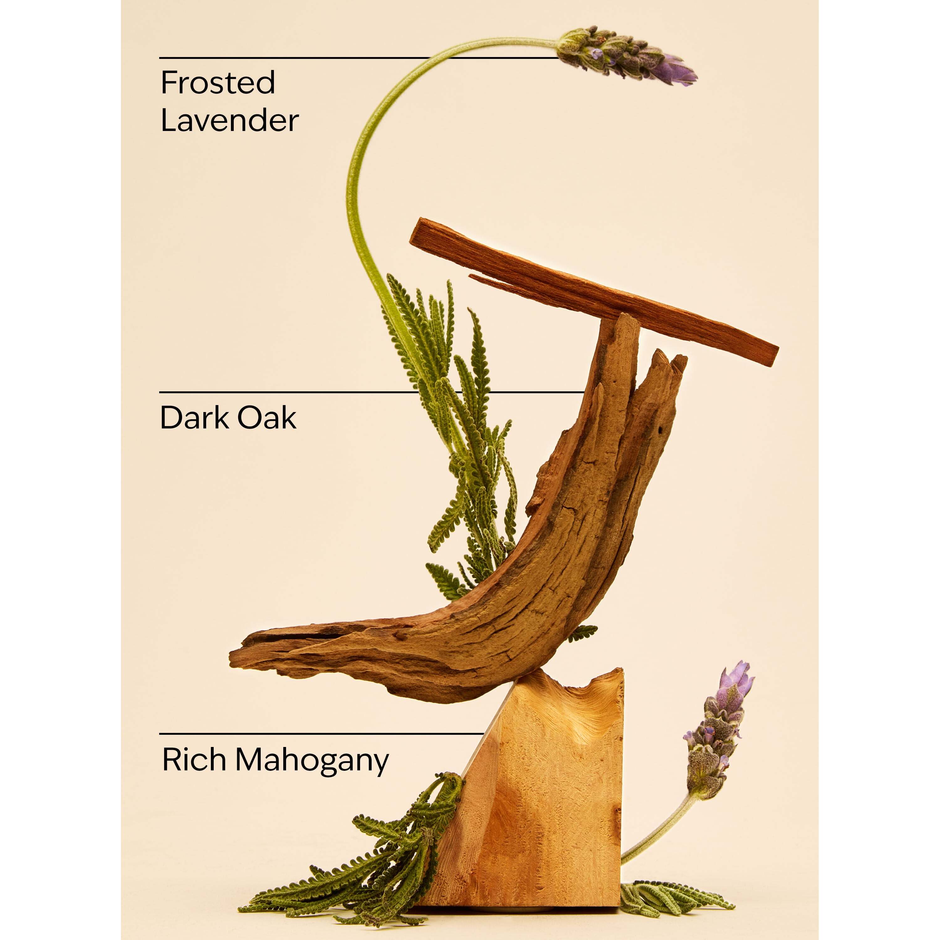 Mahogany Teakwood Wallflowers Fragrance Refill - Image 3