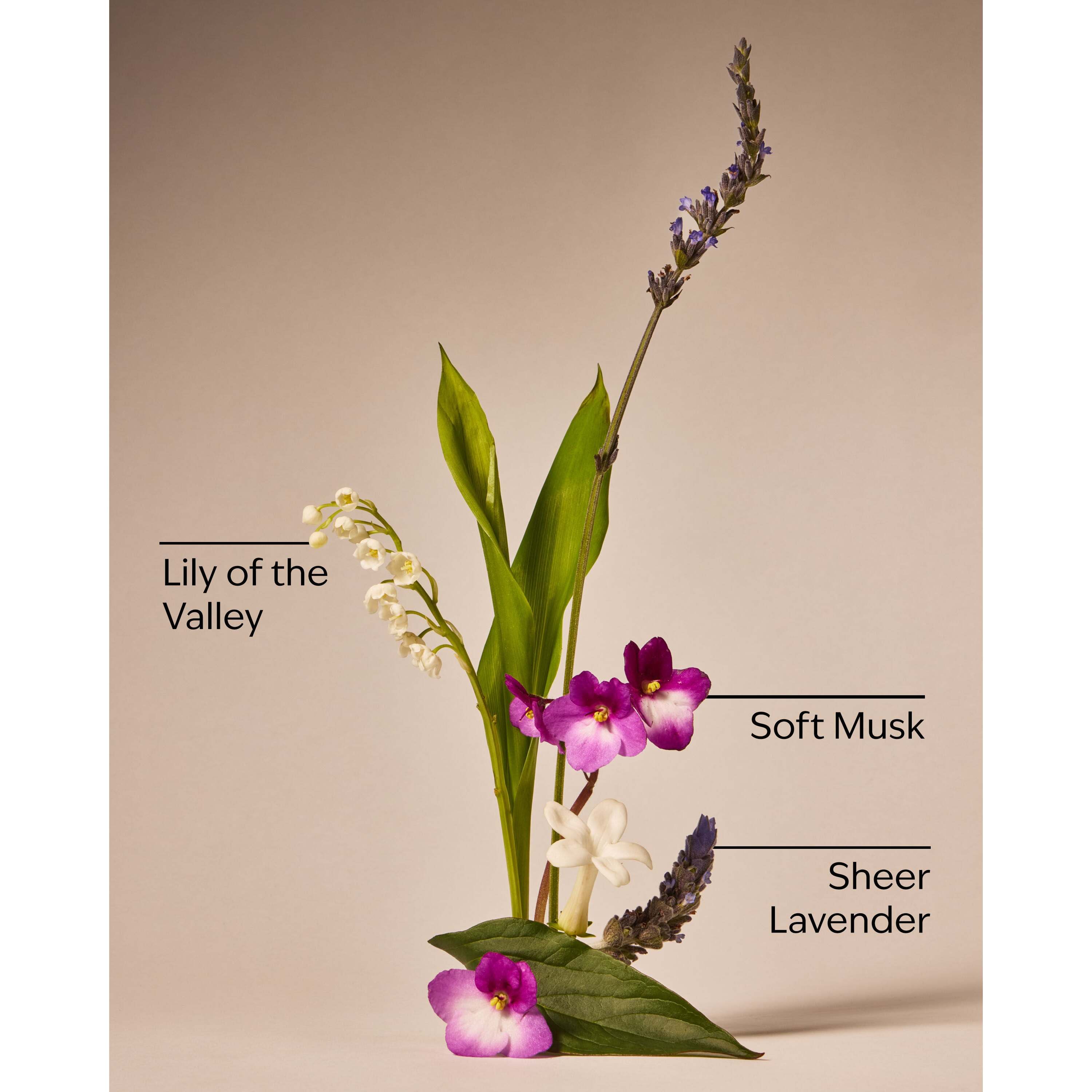 Moonlight Path Body Wash - Image 3