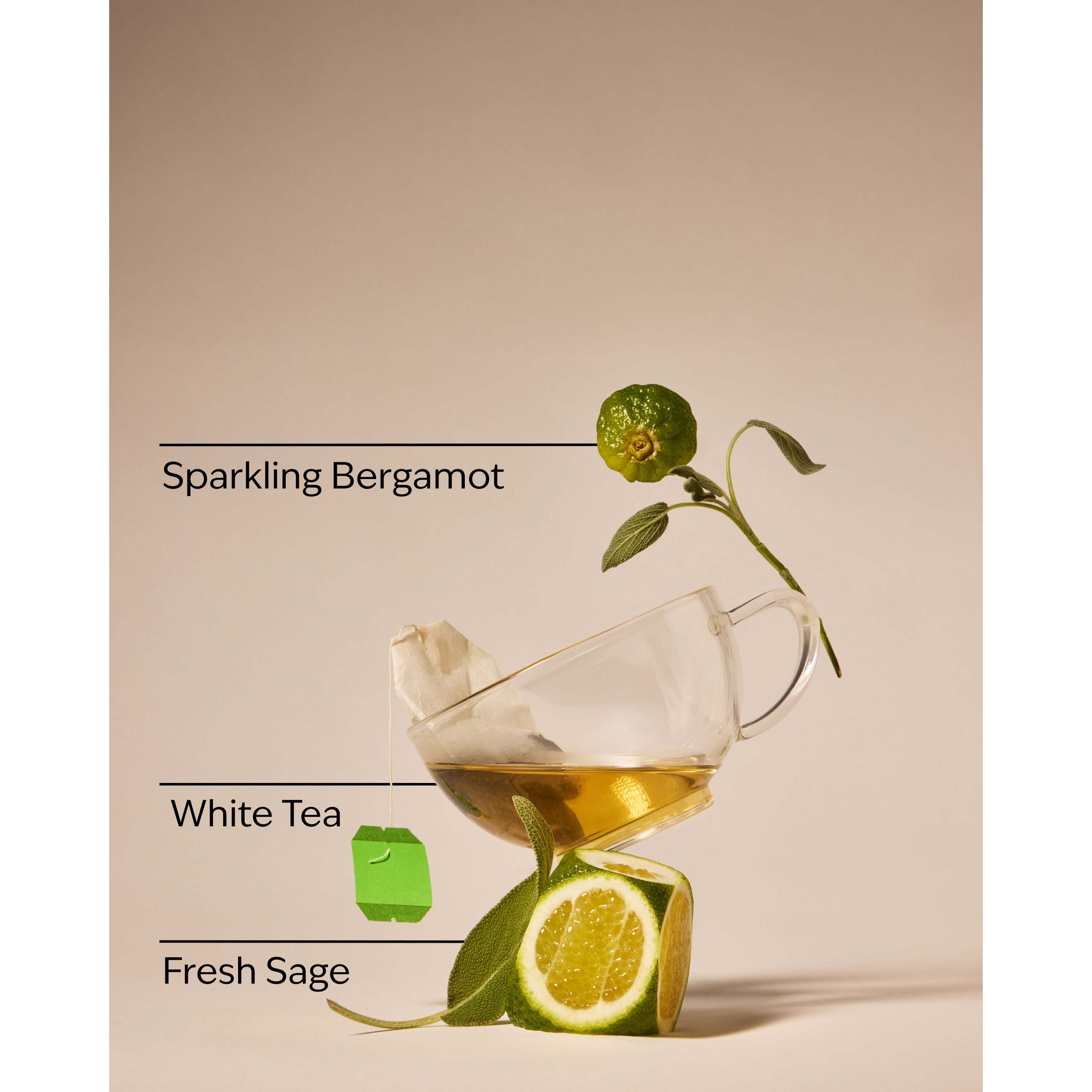 White Tea & Sage Wallflowers Fragrance Refill - Image 3