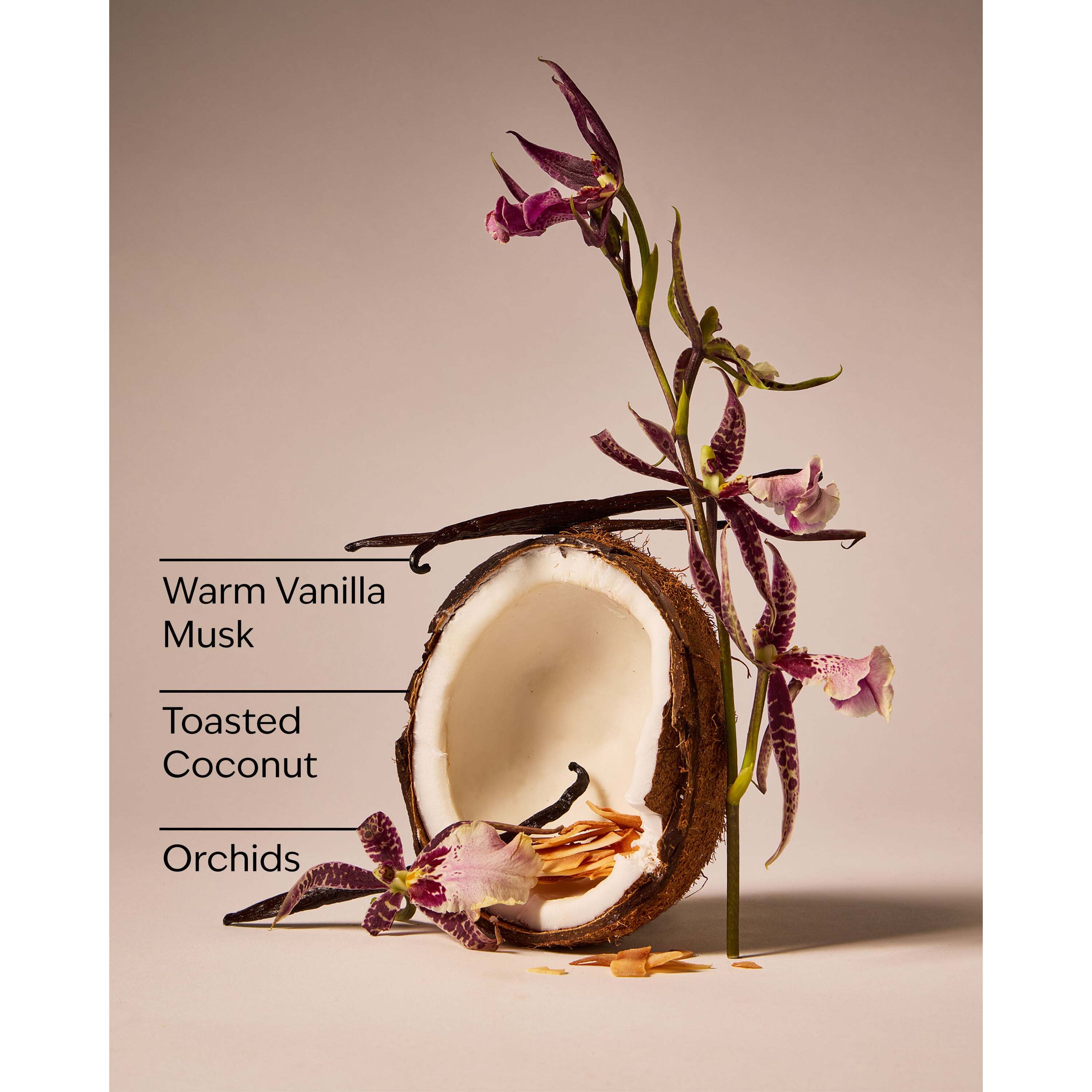 Tiki Beach Wallflowers Fragrance Refill - Image 3