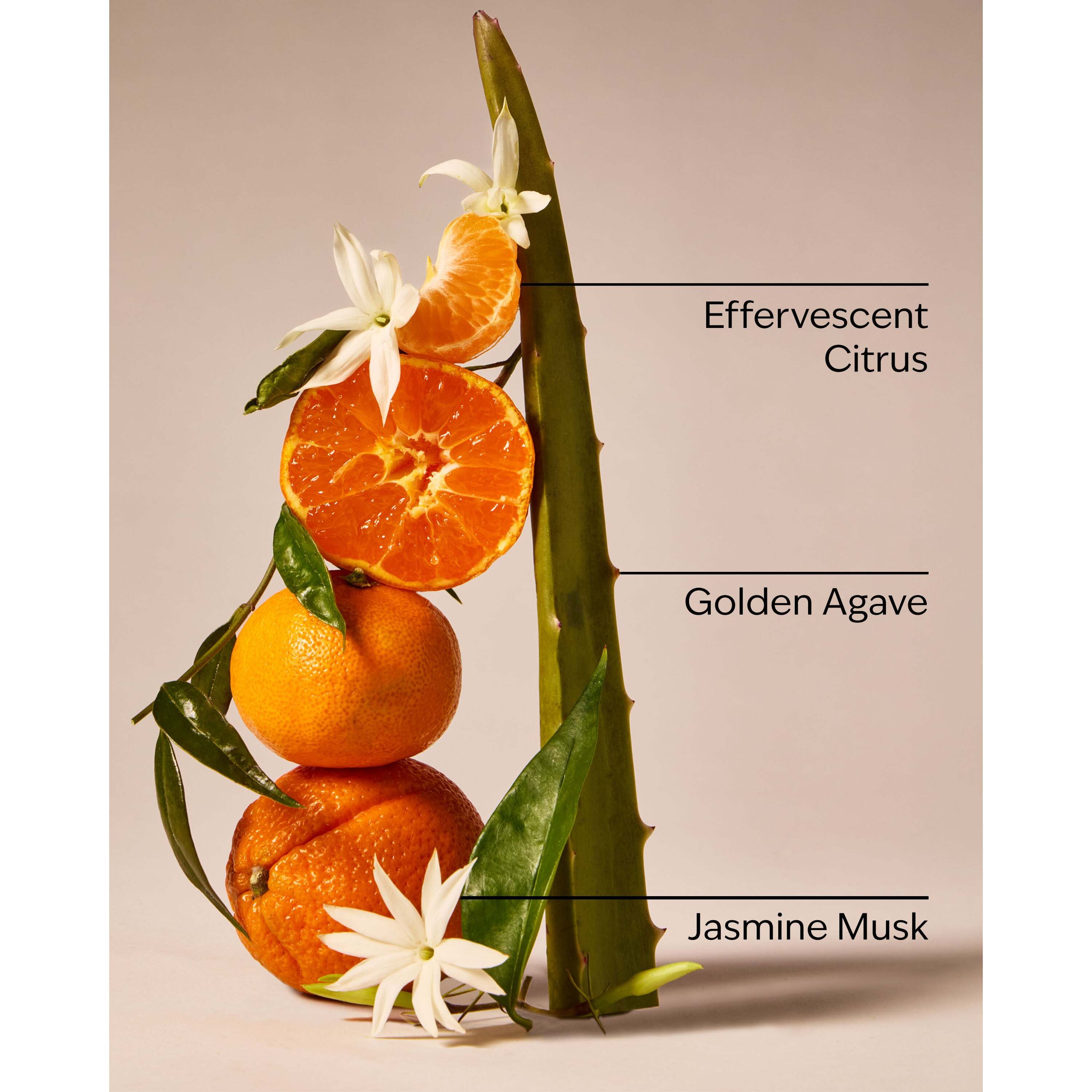 Sweet Orange & Agave Wallflowers Fragrance Refill - Image 3