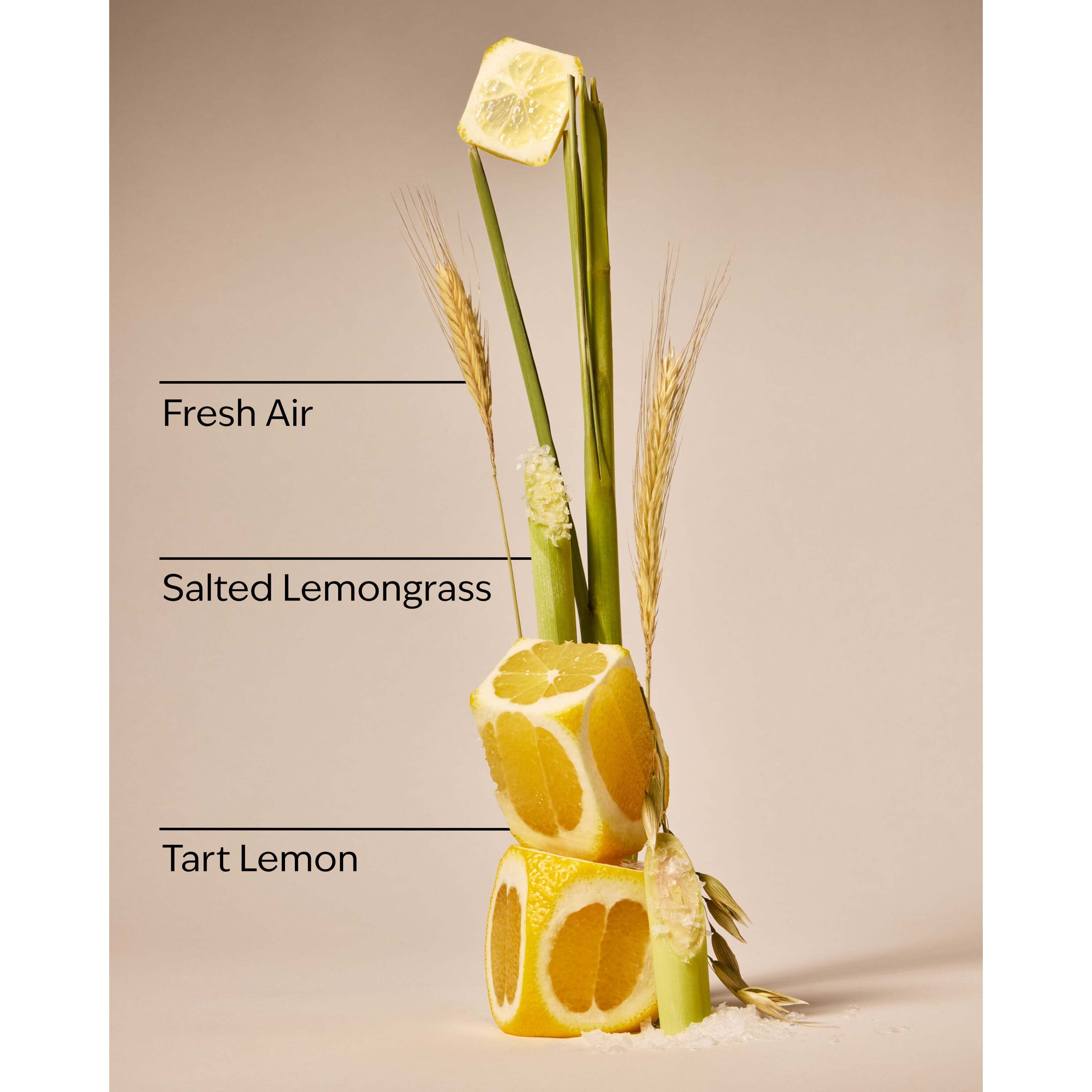 Laundry Room Lemon Concentrated Room Spray - Image 3