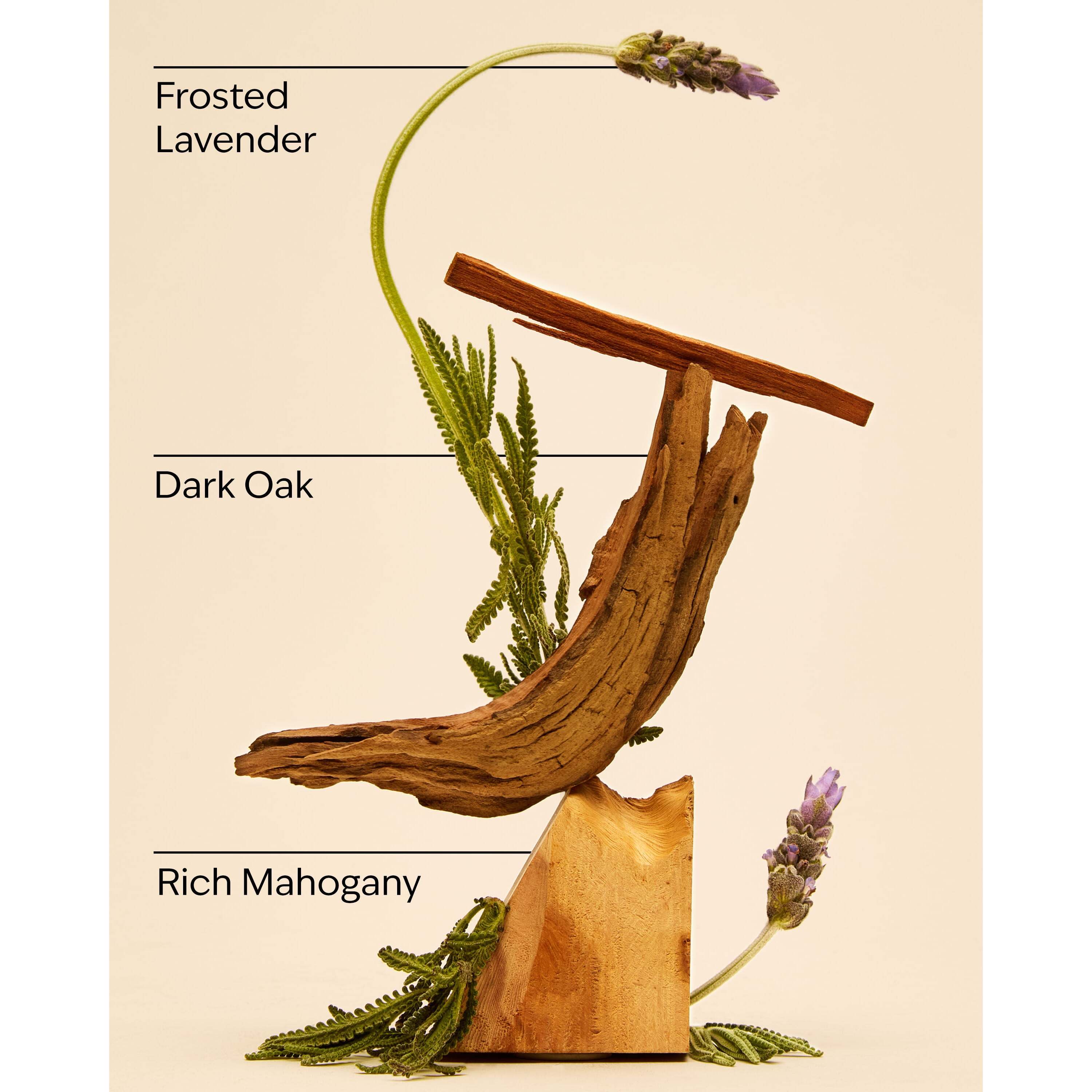 Mahogany Teakwood Antiperspirant Deodorant - Image 3