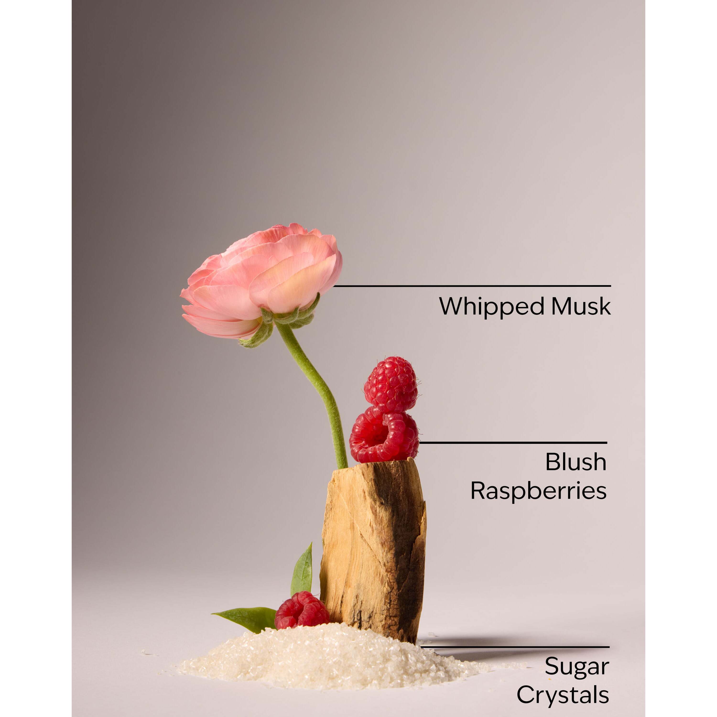 Sweetest Song Body Lotion - Image 3