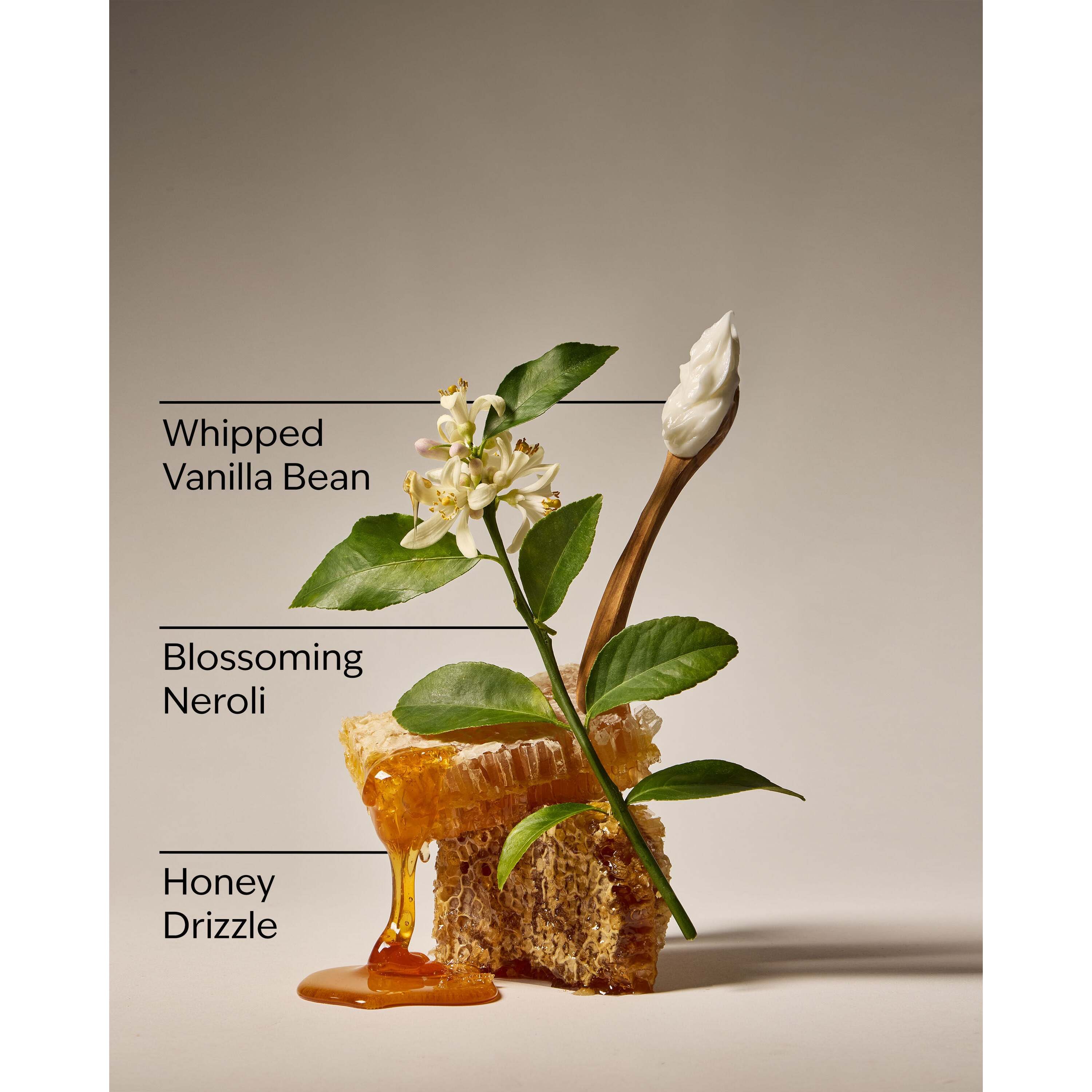 Whipped Honey & Vanilla Wallflowers Fragrance Refill - Image 3