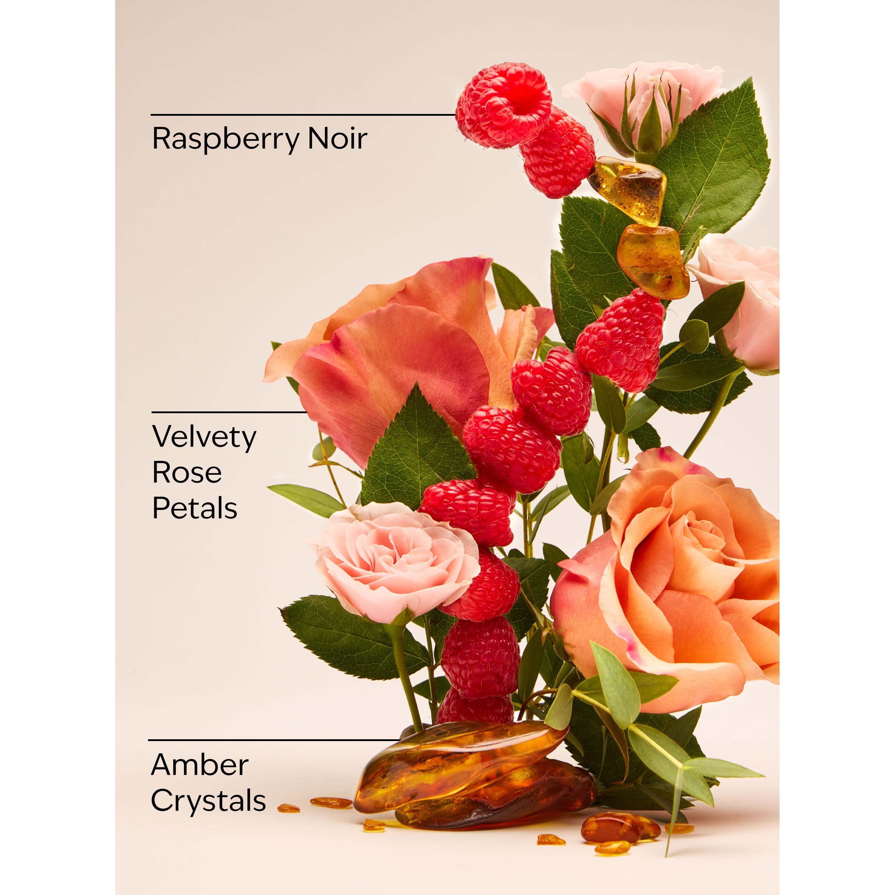 Into The Night Wallflowers Refills 2-Pack - Image 3