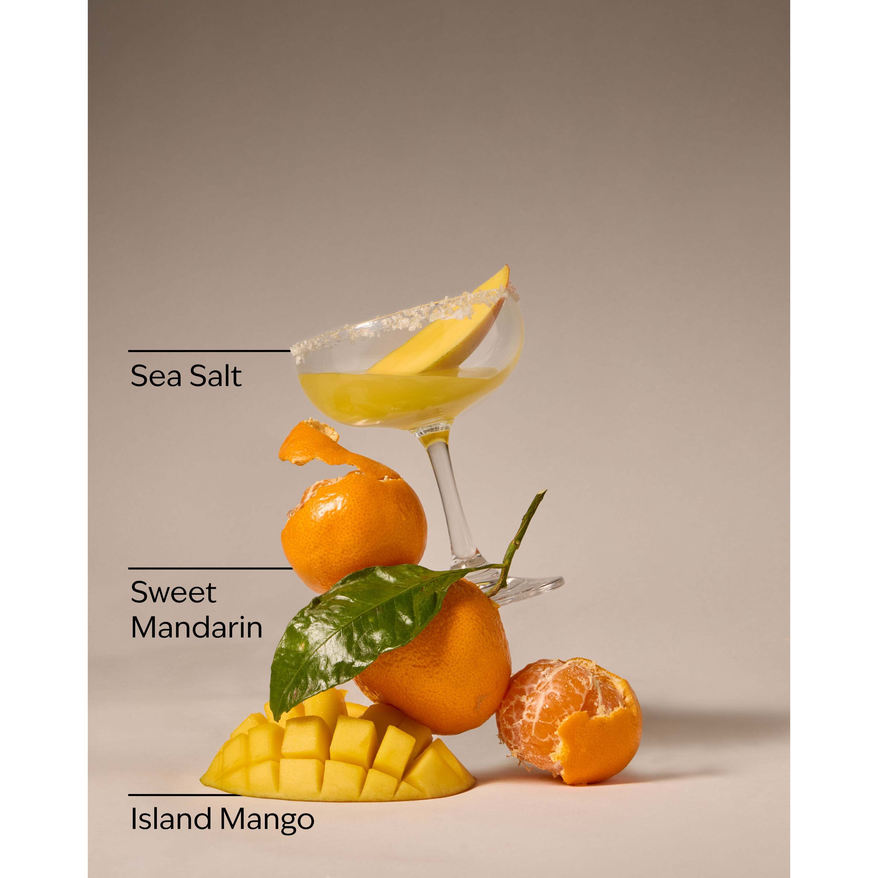 Island Margarita Wallflowers Refills 2-Pack - Image 3