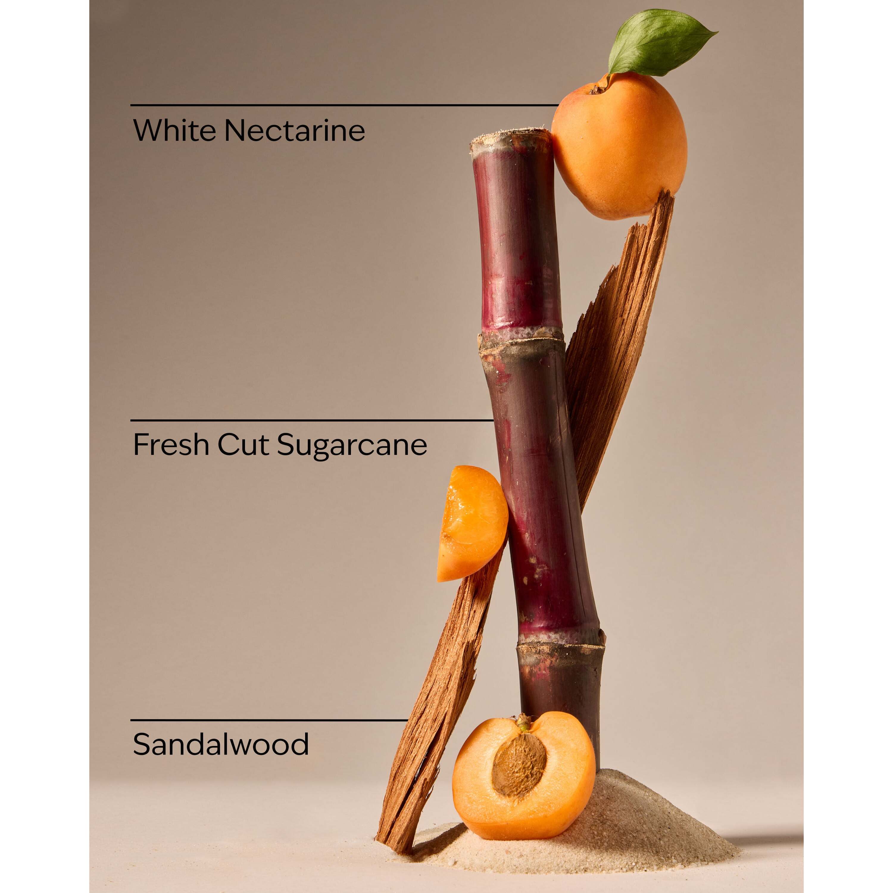 Fiji White Sands Car Fragrance Refill - Image 3