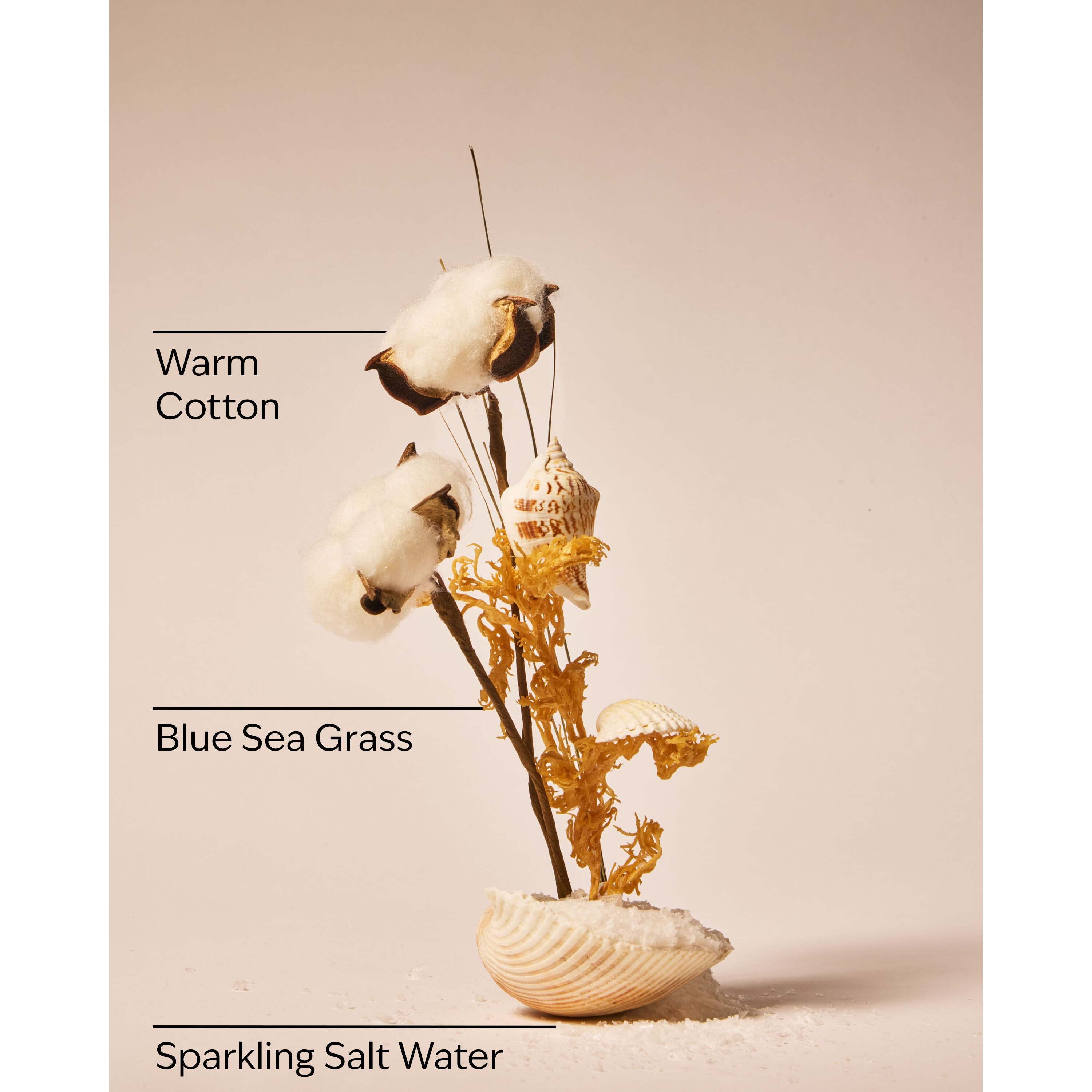 Beach Blanket Wallflowers Fragrance Refill - Image 3