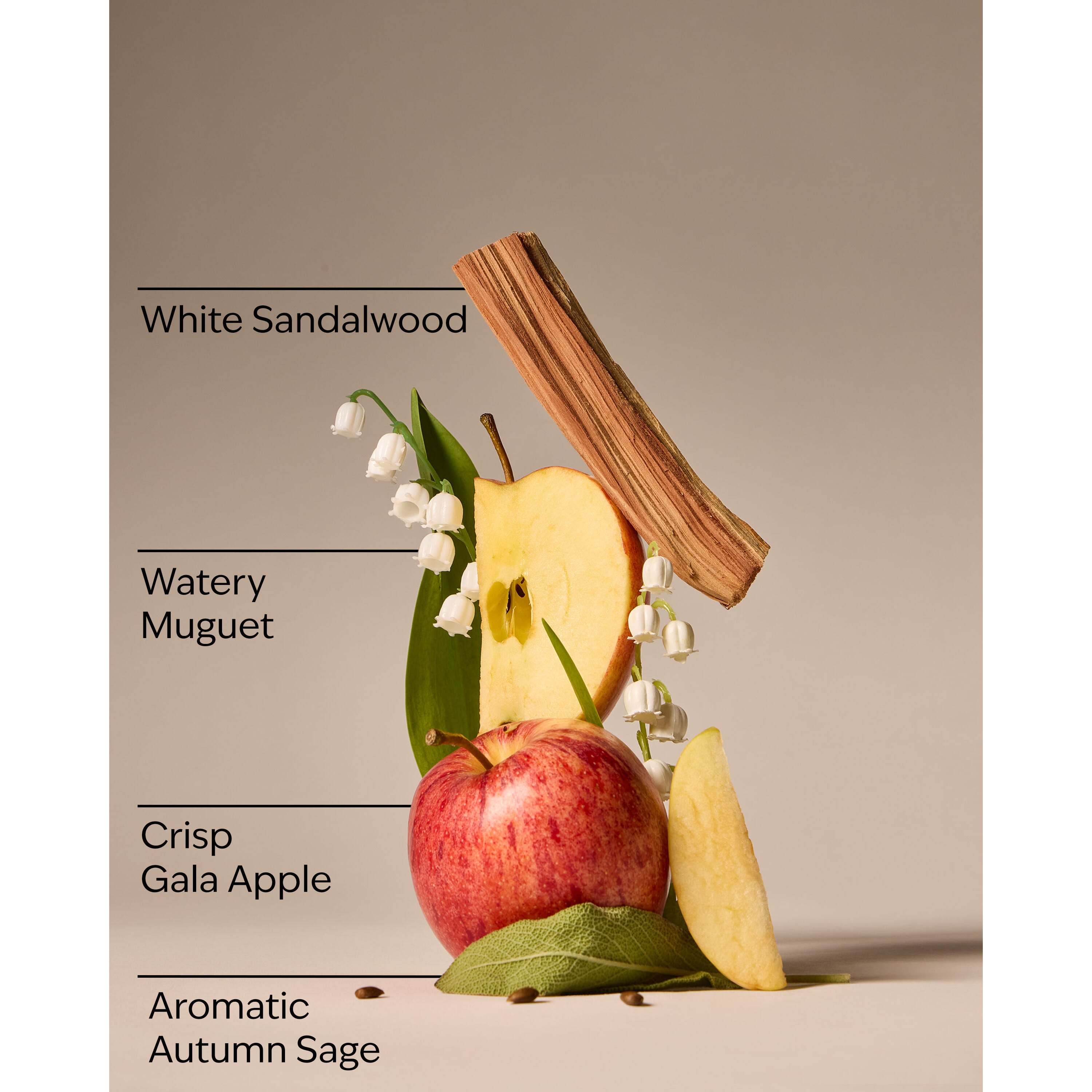 Country Apple Wallflowers Refills 2-Pack - Image 3