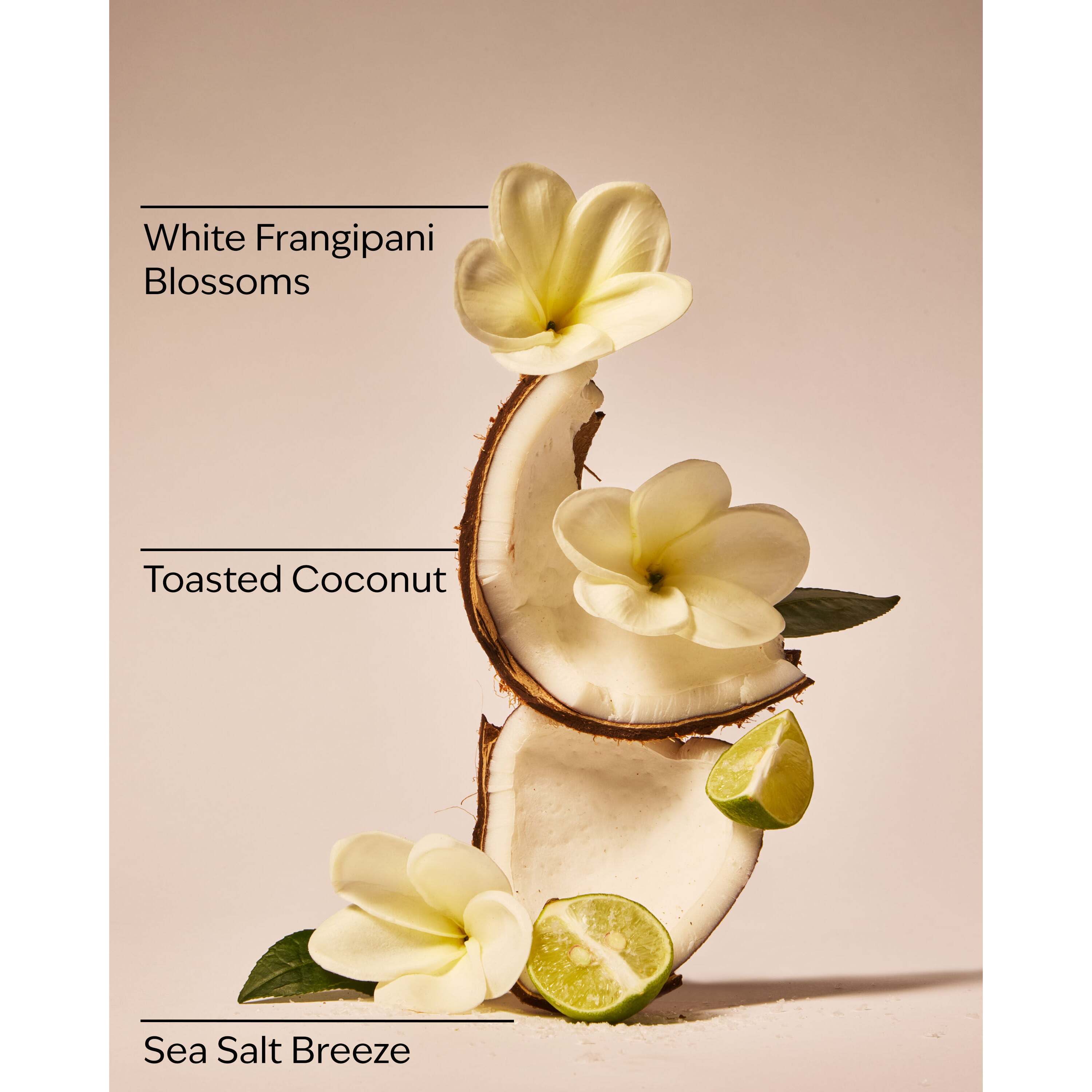 At The Beach Body Lotion - Image 3