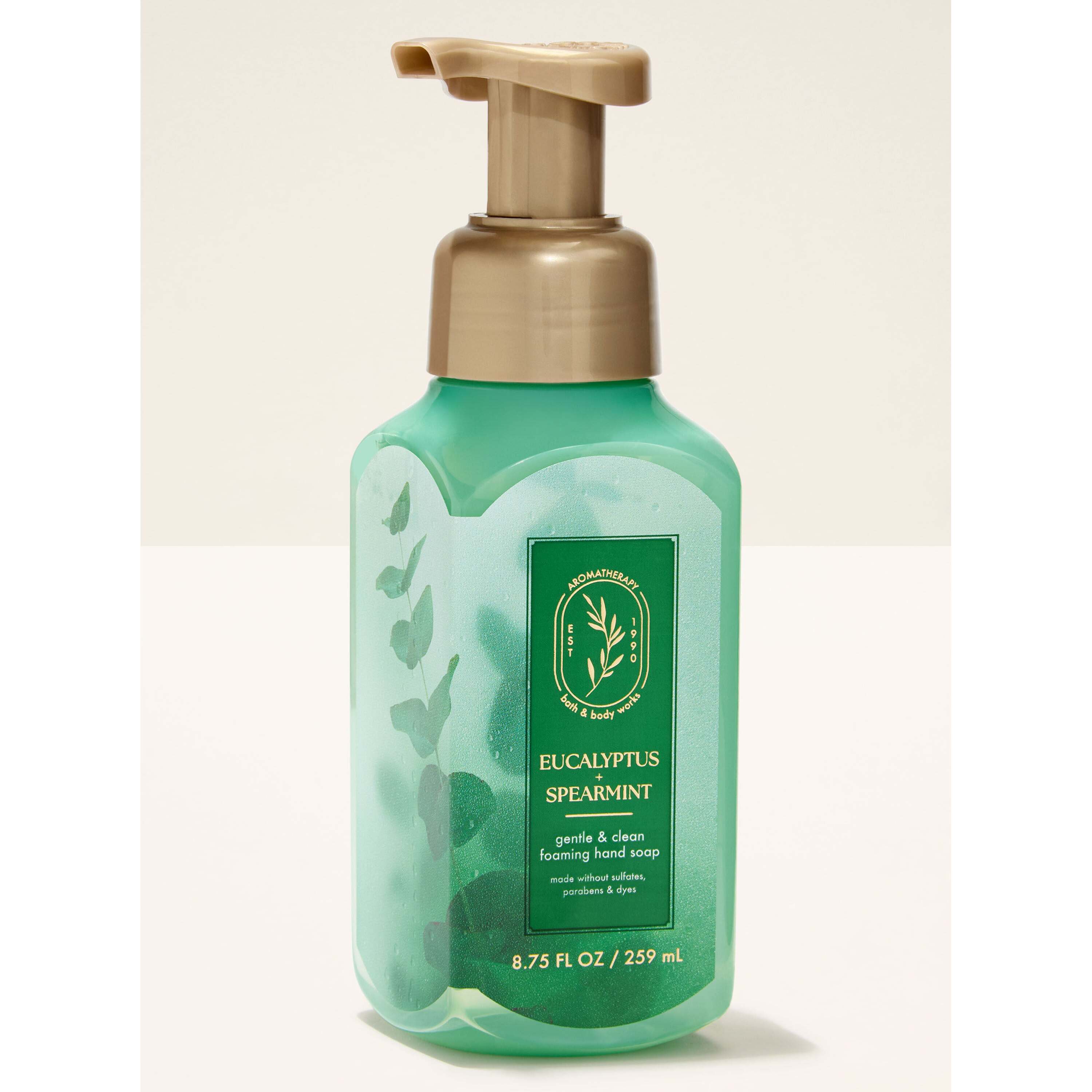 Eucalyptus Spearmint Gentle & Clean Foaming Hand Soap
