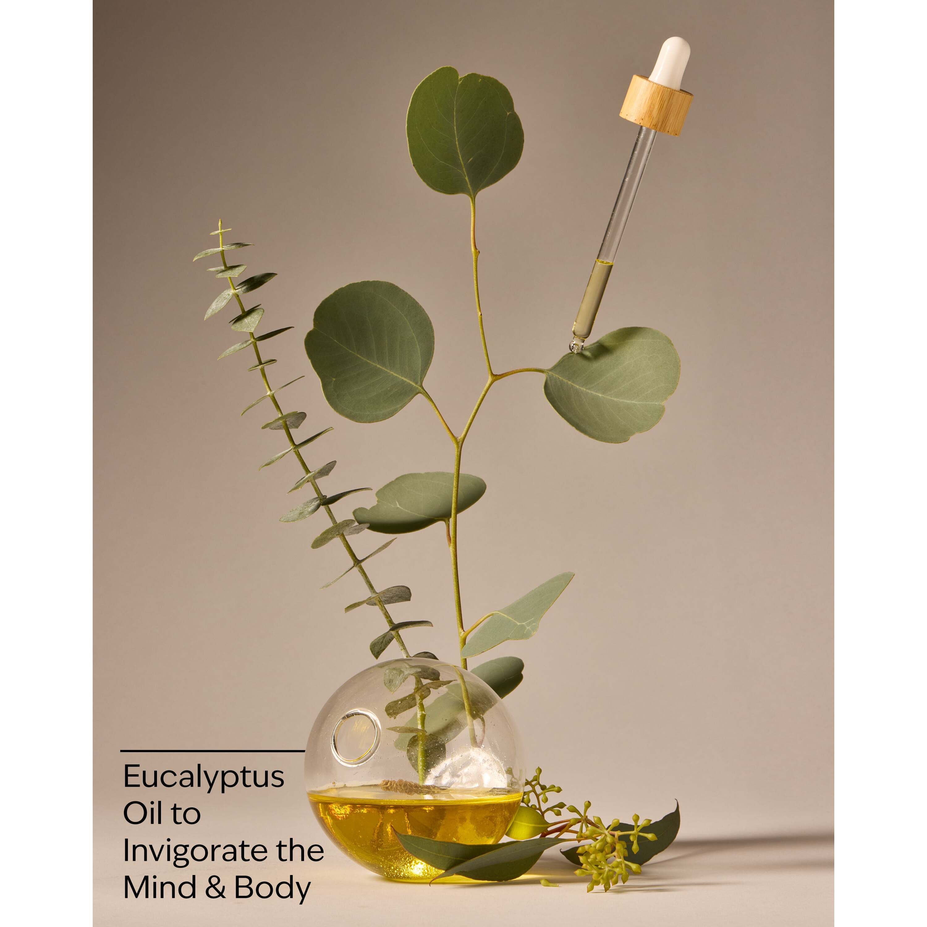 Eucalyptus Body Wash & Foam Bath - Image 3