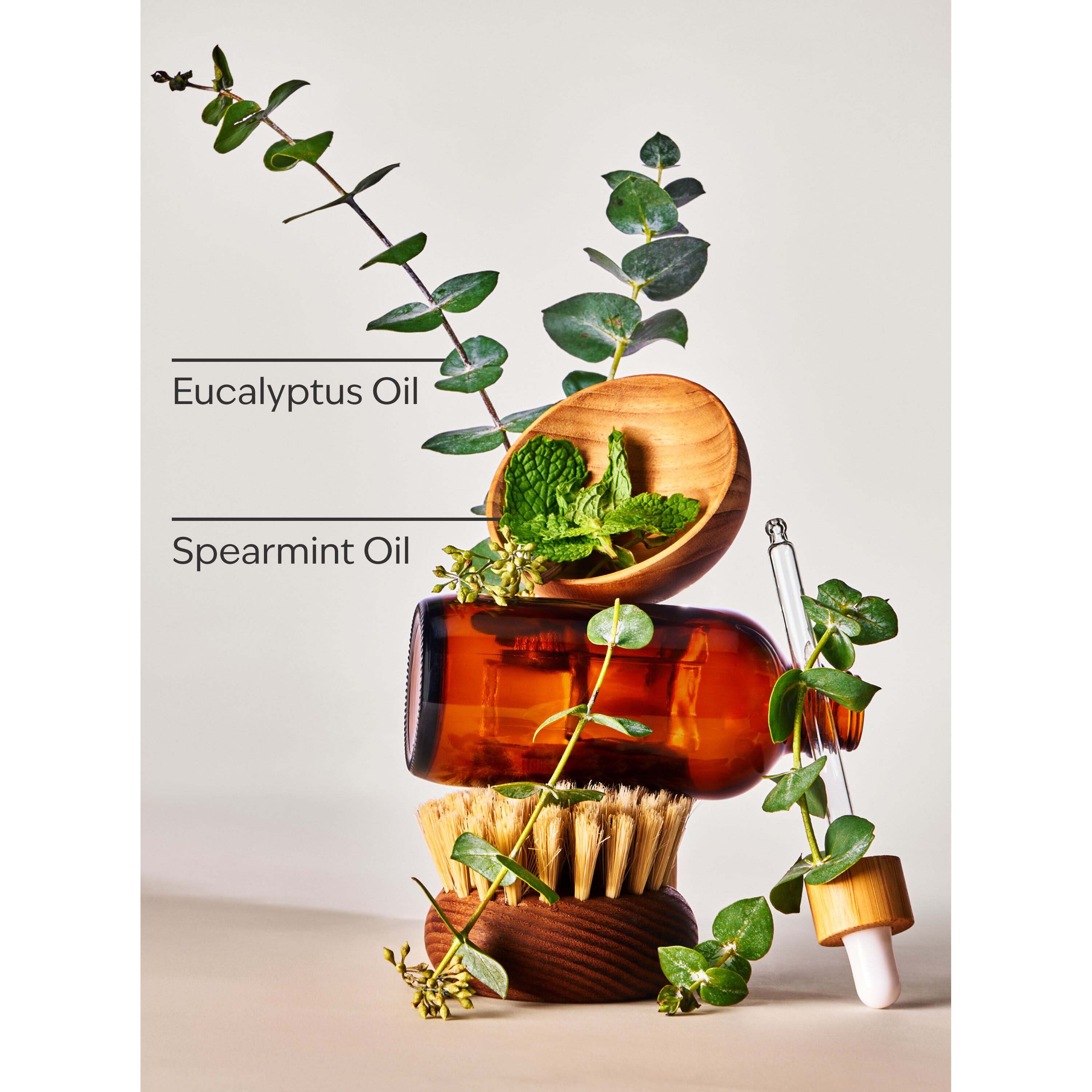 Eucalyptus Spearmint Moisturizing Body Wash - Image 3