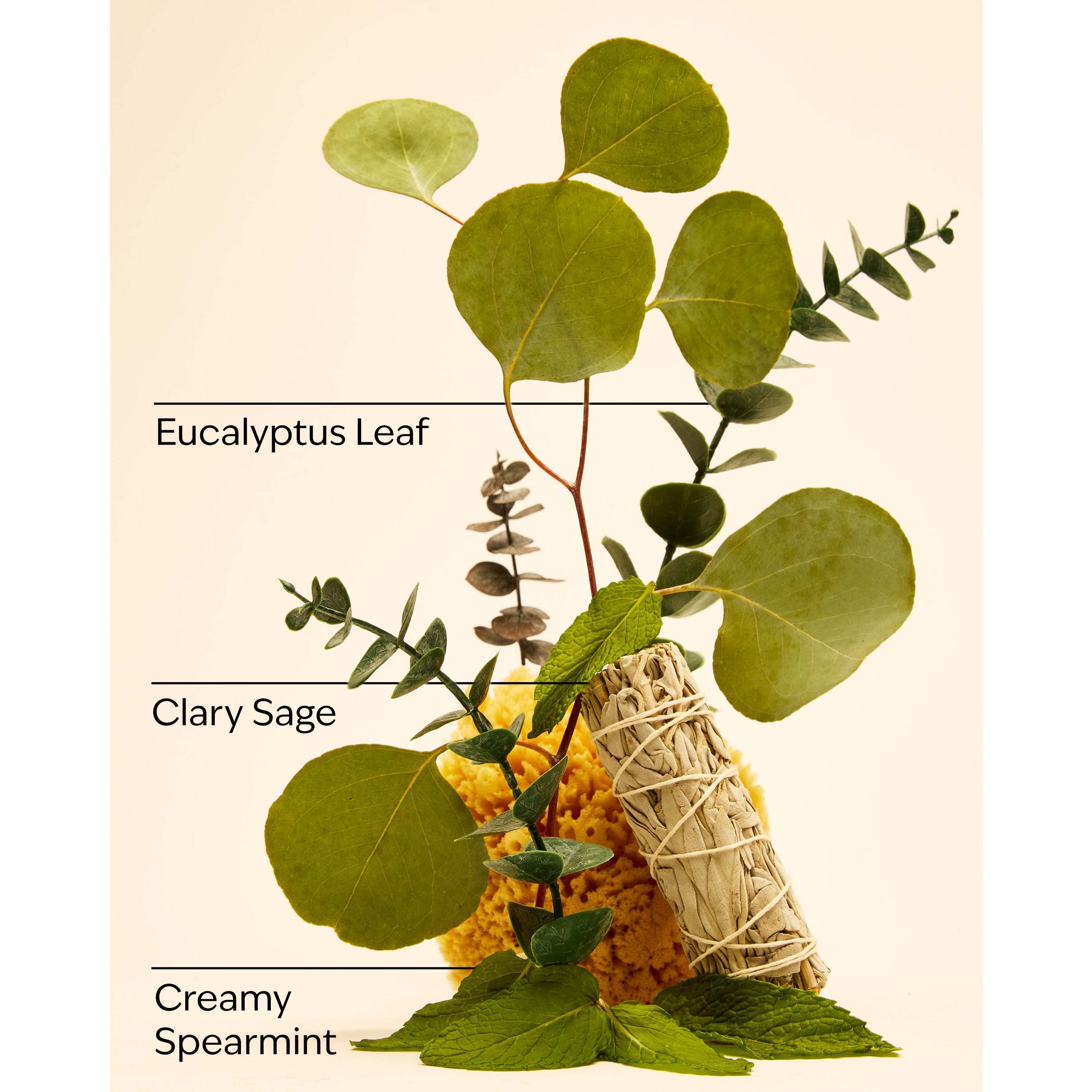 Eucalyptus Spearmint Travel Size Essential Oil Mist - Image 3