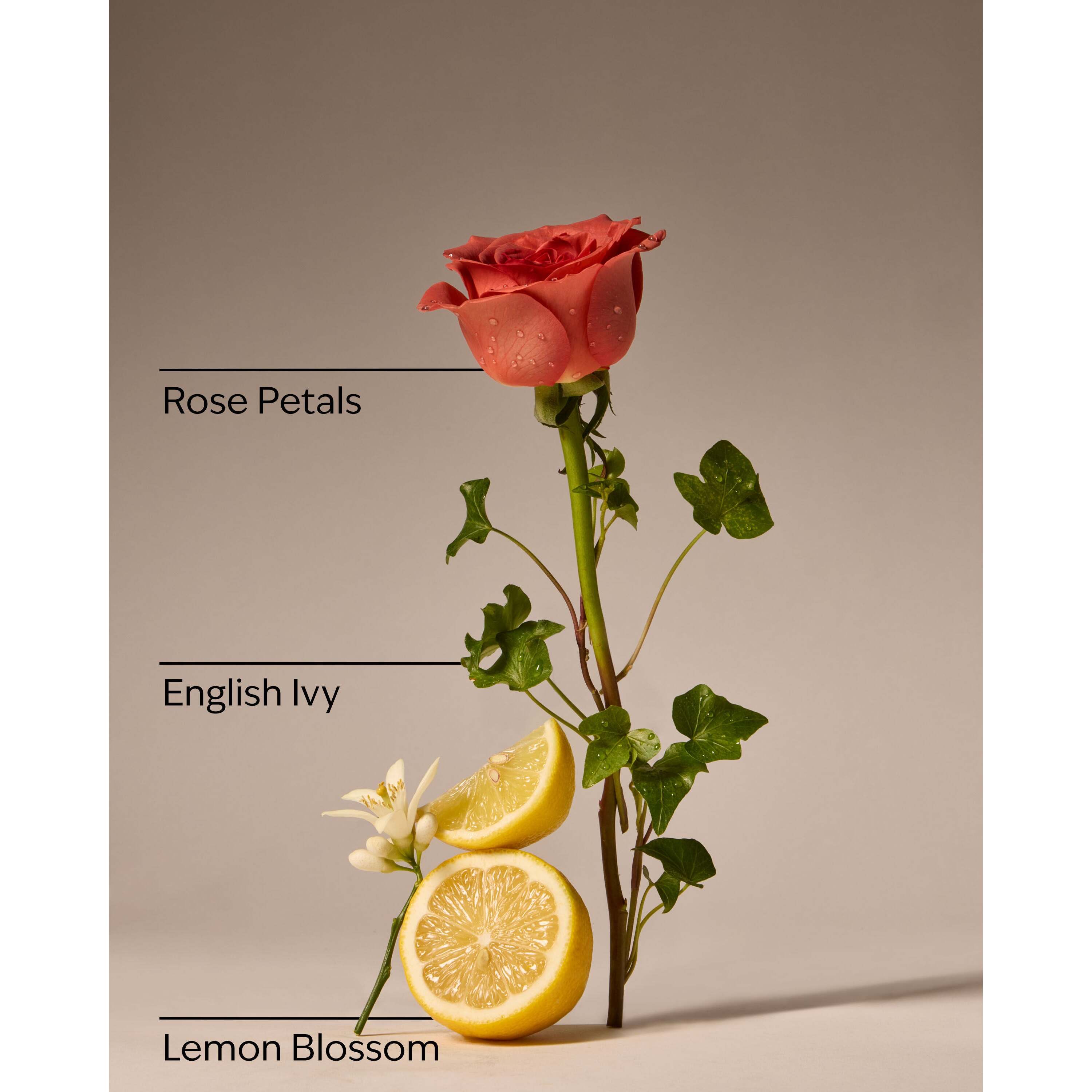 Rose Water & Ivy Moisturizing Pocketbac Hand Sanitizer - Image 3