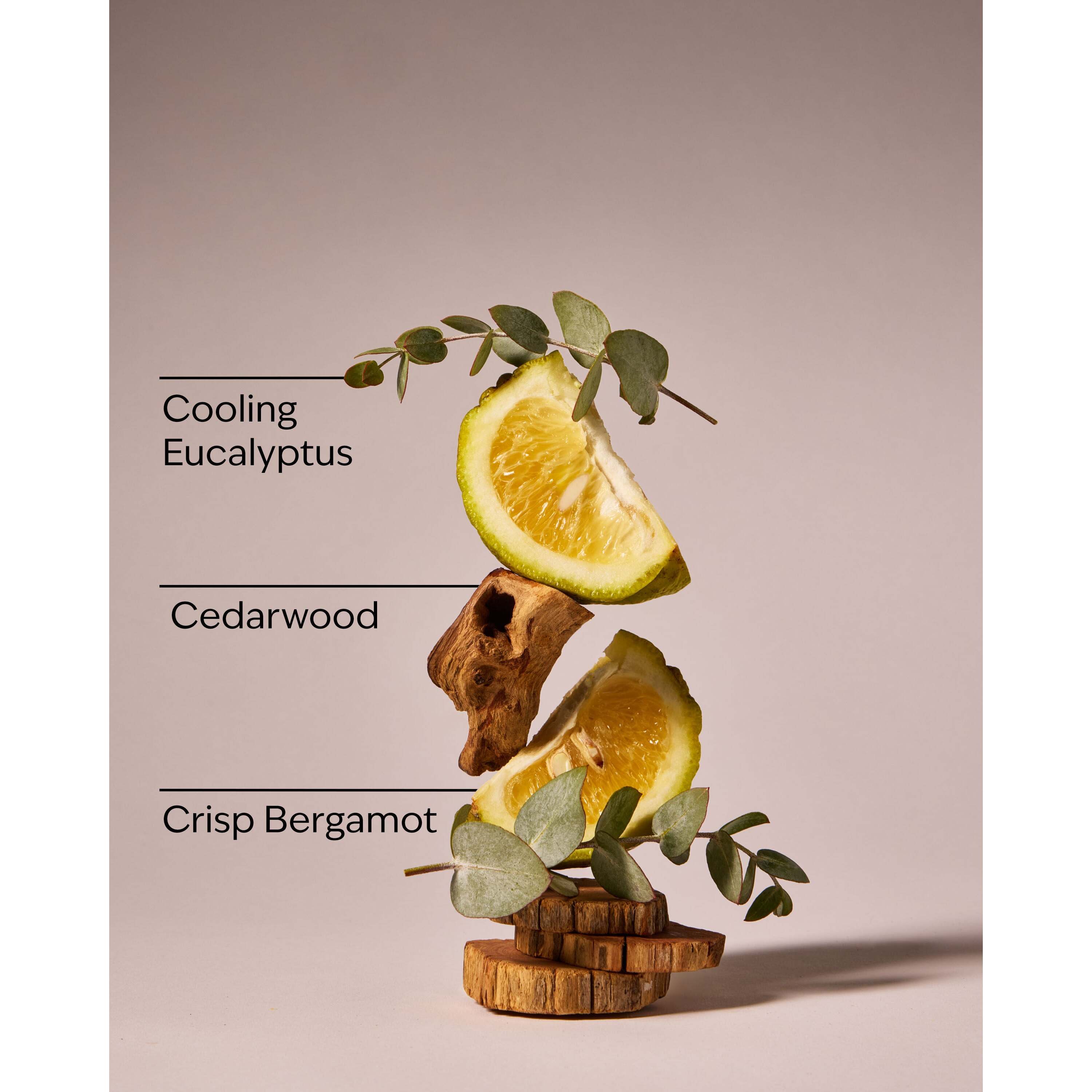 Onyx Frost Hanging Fragrance Diffuser - Image 3