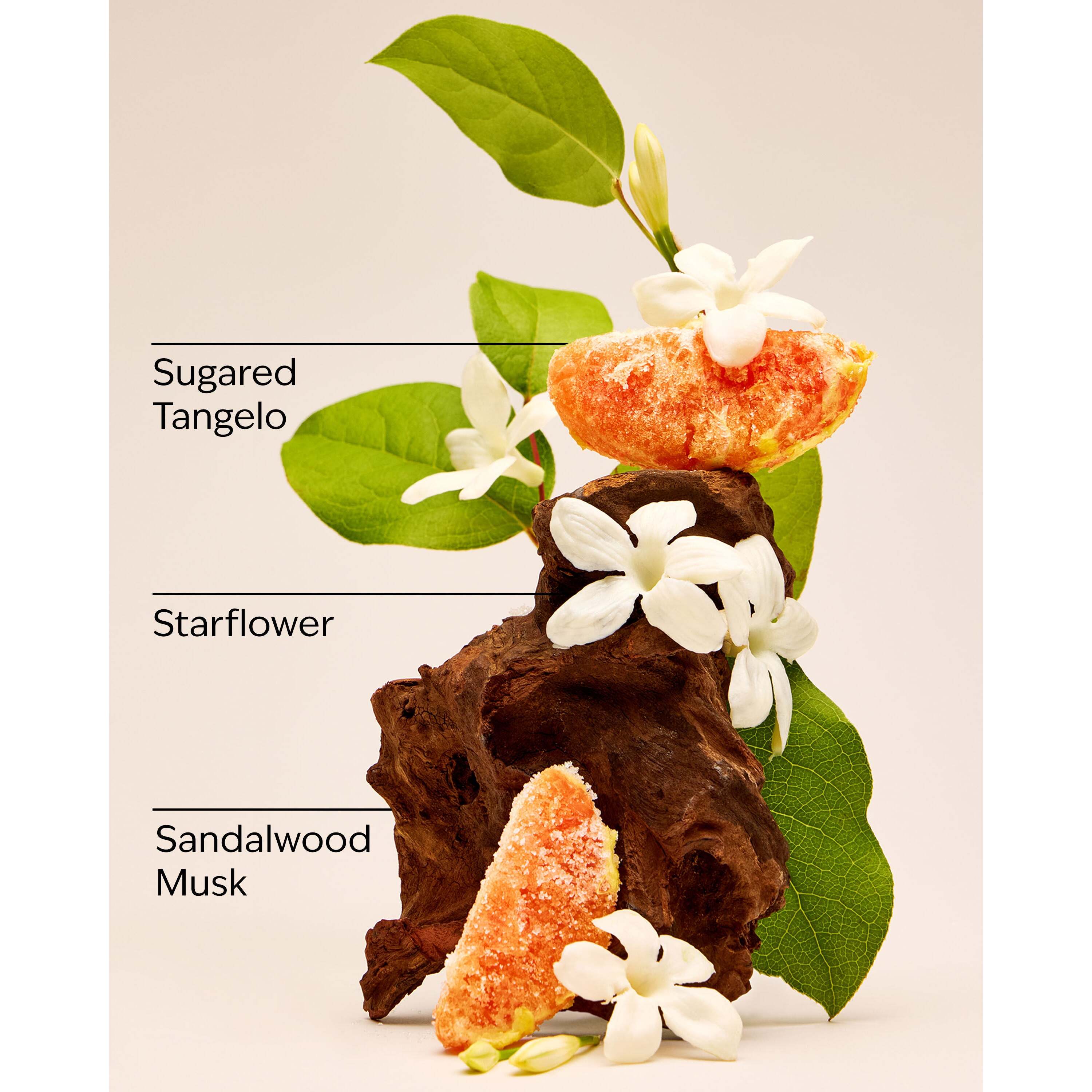 In The Stars Exfoliating Glow Body Scrub - Image 3