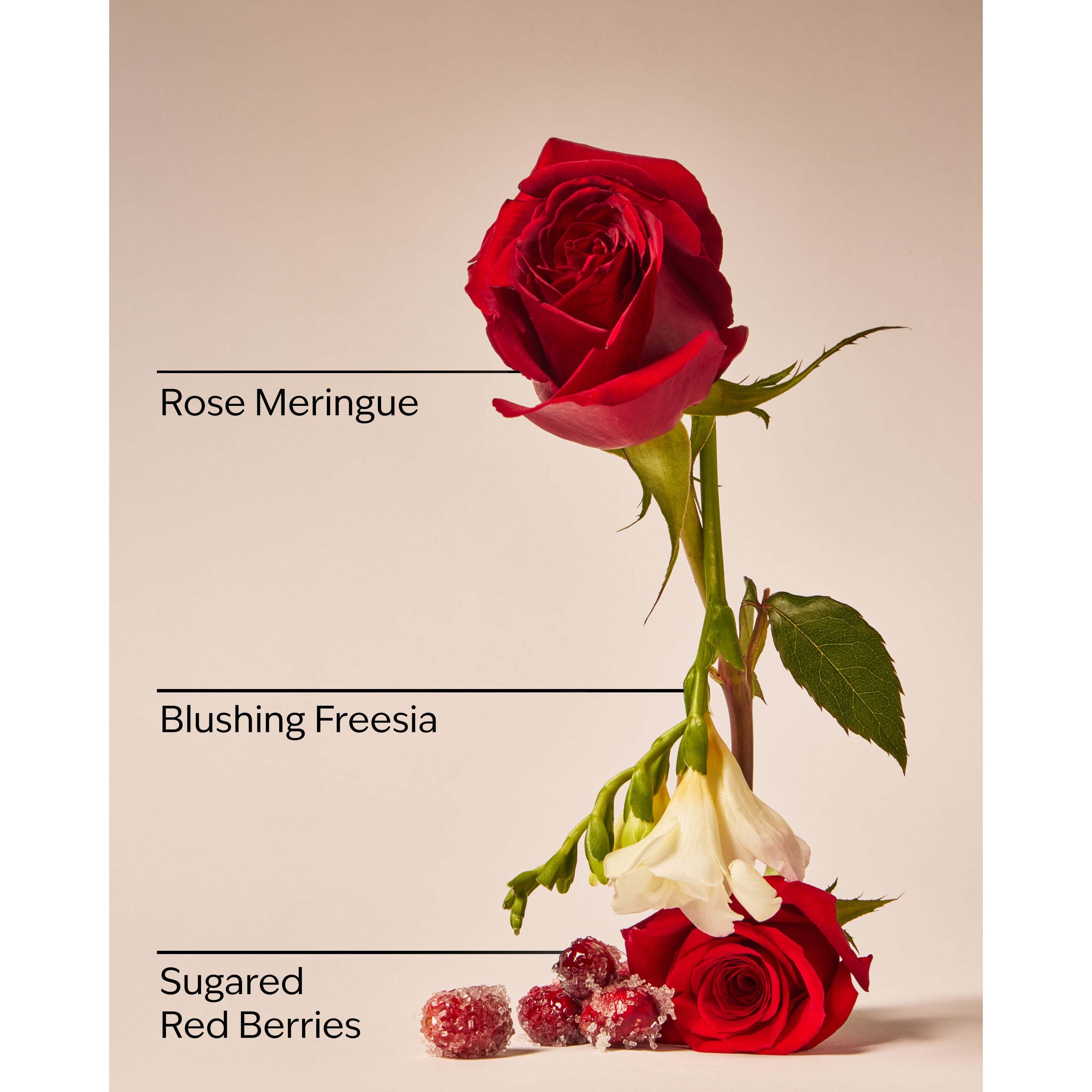 Gingham Love Ultimate Hydration Body Cream - Image 3