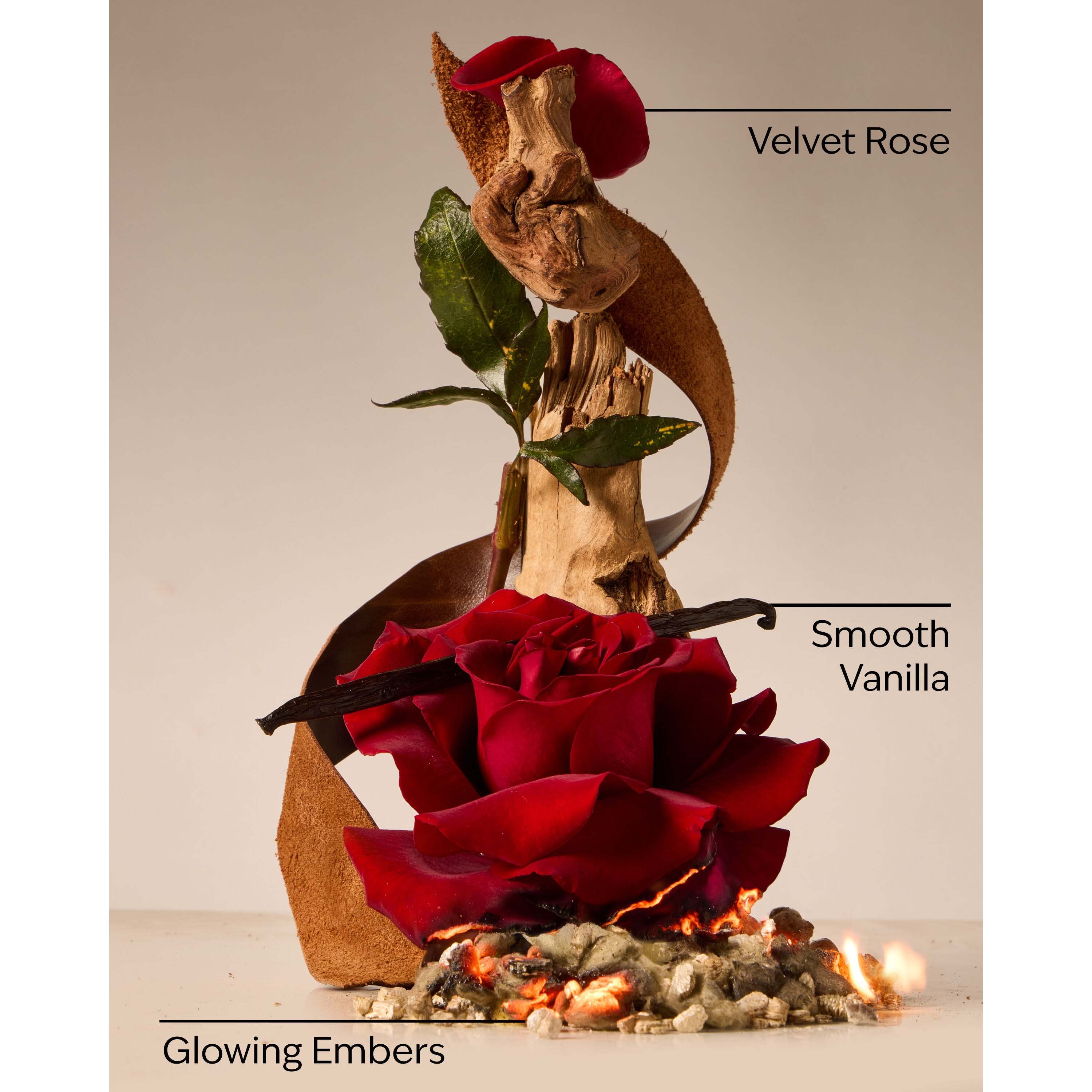 Rosewood & Suede Gentle & Clean Foaming Hand Soap - Image 3