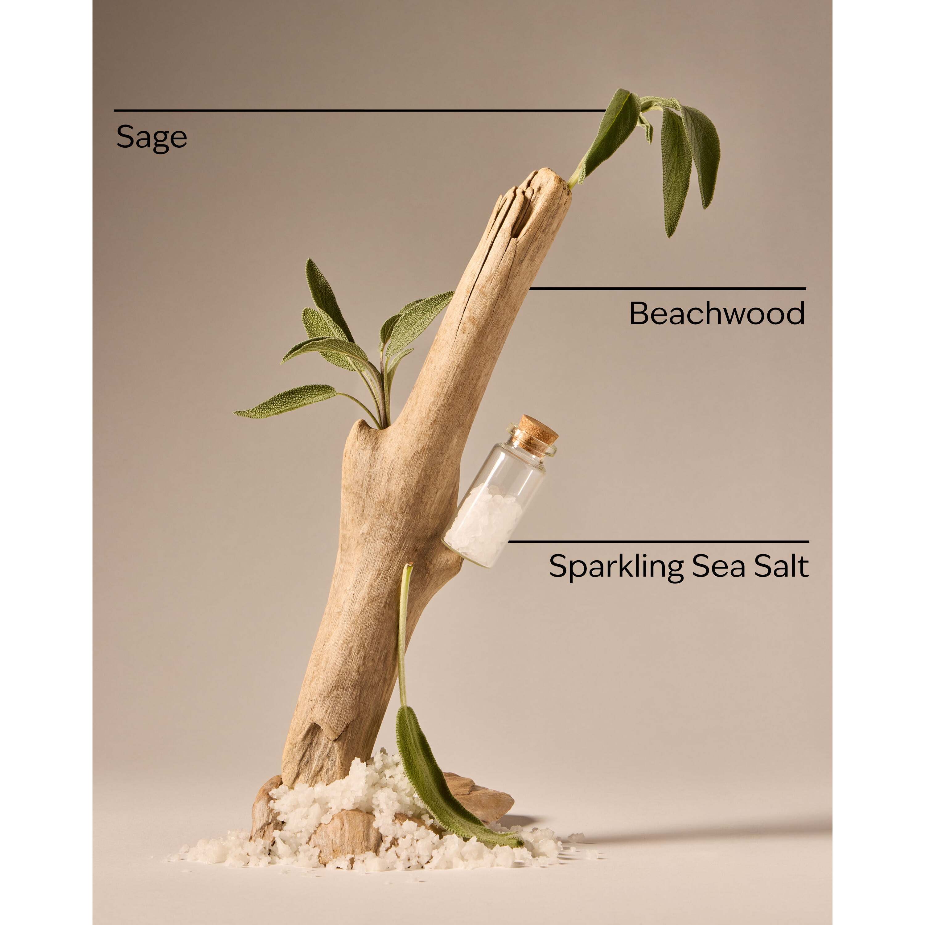 Sea Salt & Beechwood Gentle & Clean Foaming Hand Soap - Image 3