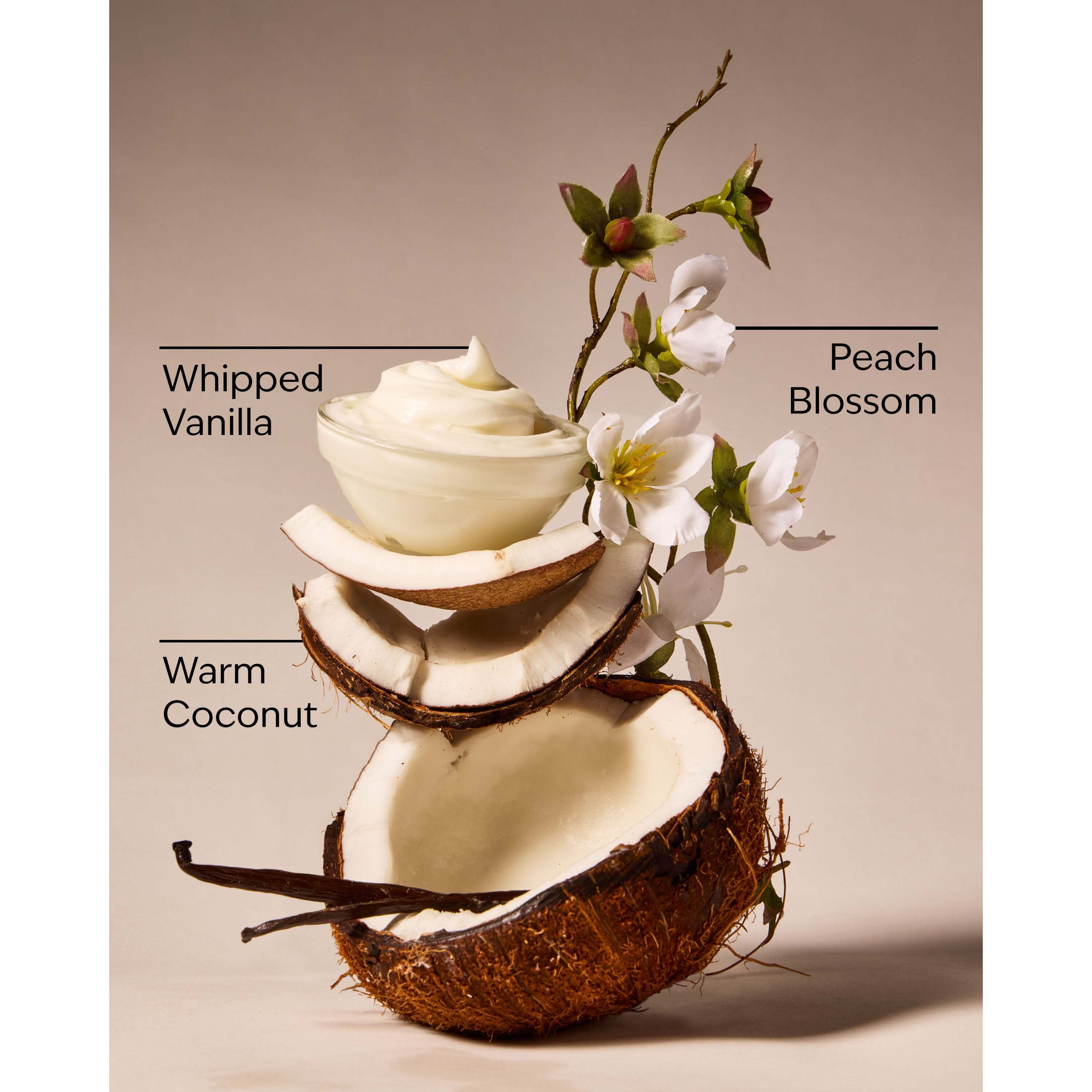 Vanilla Coconut Gentle & Clean Foaming Hand Soap - Image 3