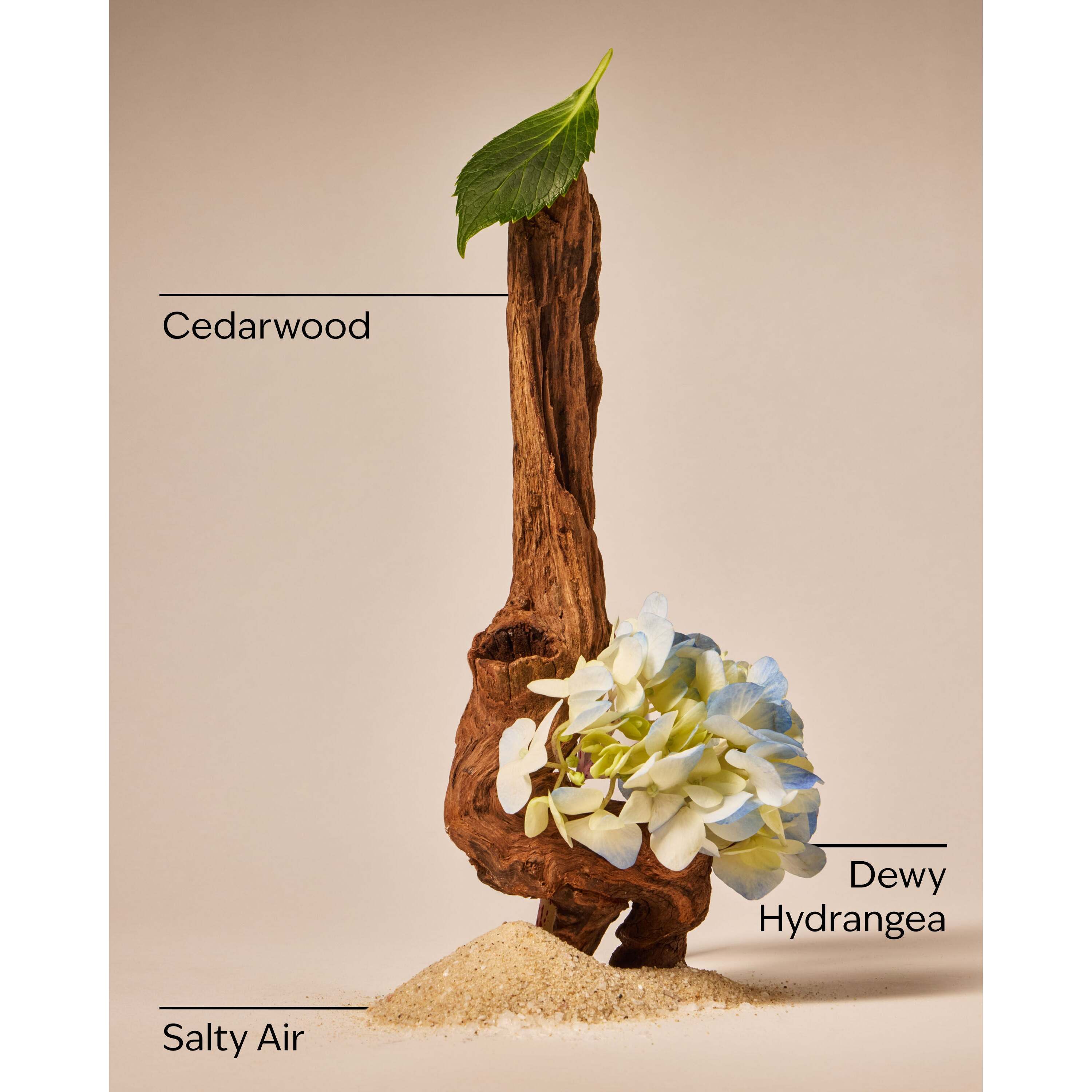 Shoreline Hydrangea Gentle & Clean Foaming Hand Soap - Image 3