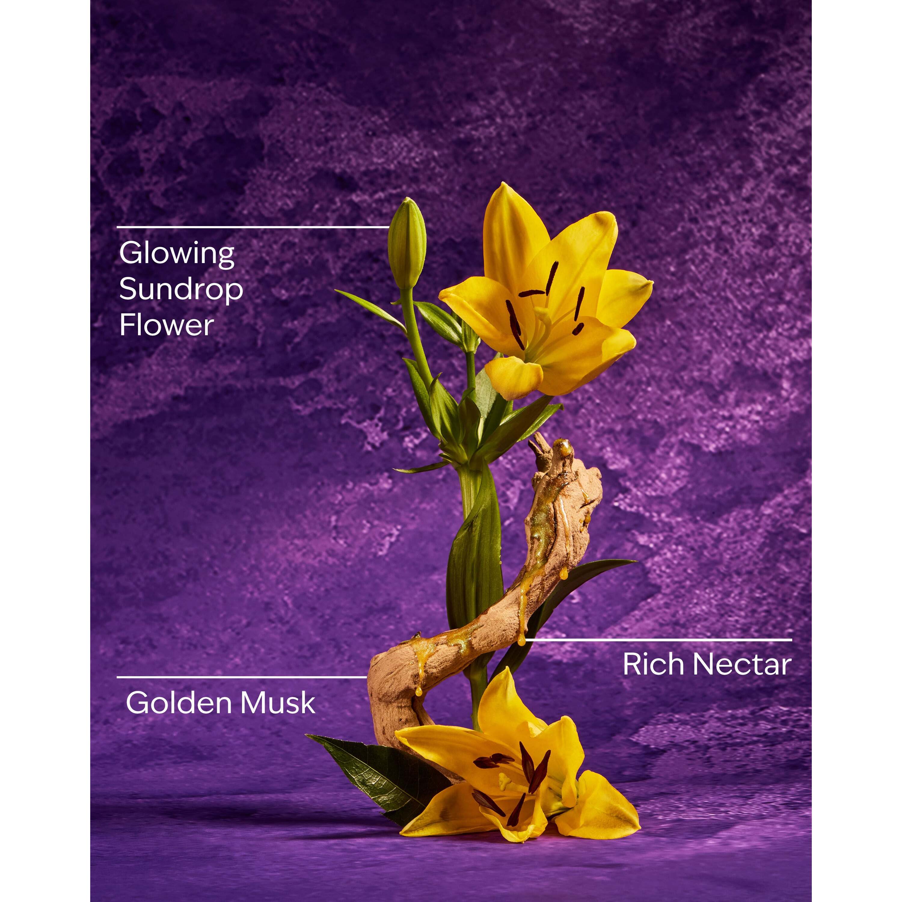 Rapunzel 3-Wick Candle - Image 3