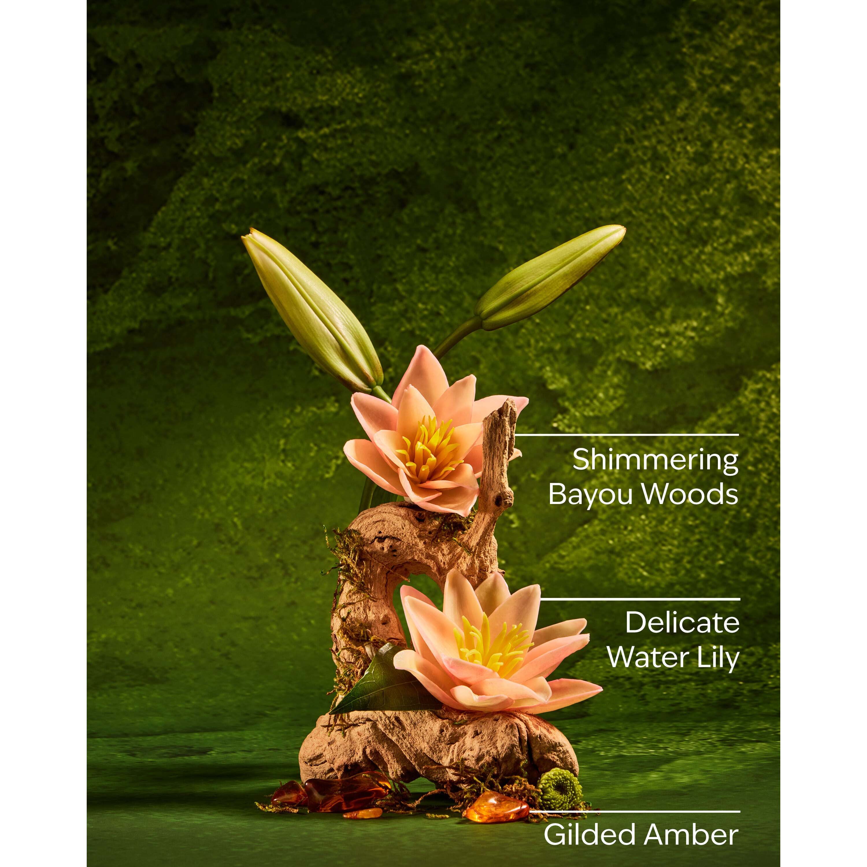 Tiana 3-Wick Candle - Image 3