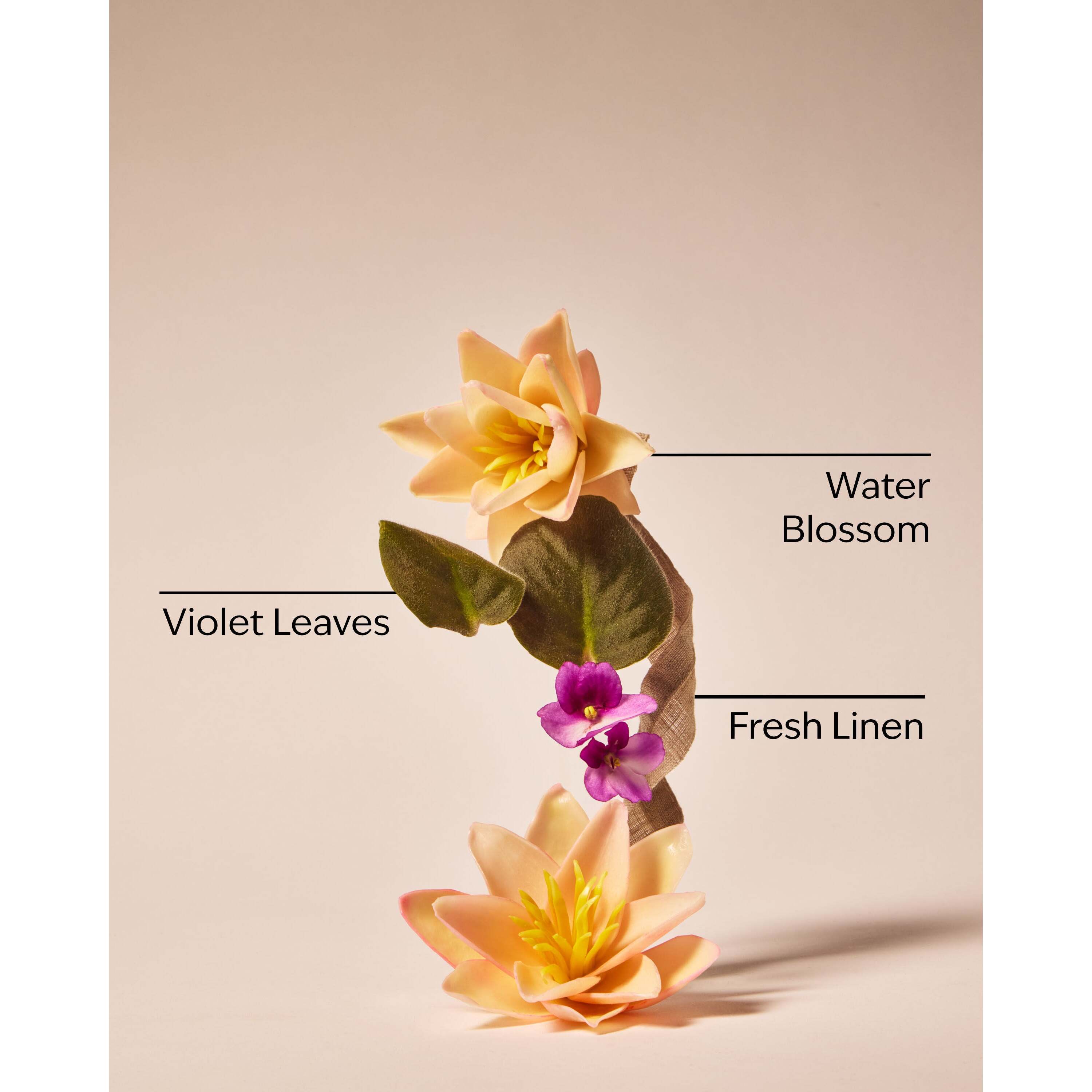 Saltwater Breeze Ultimate Hydration Body Cream - Image 3