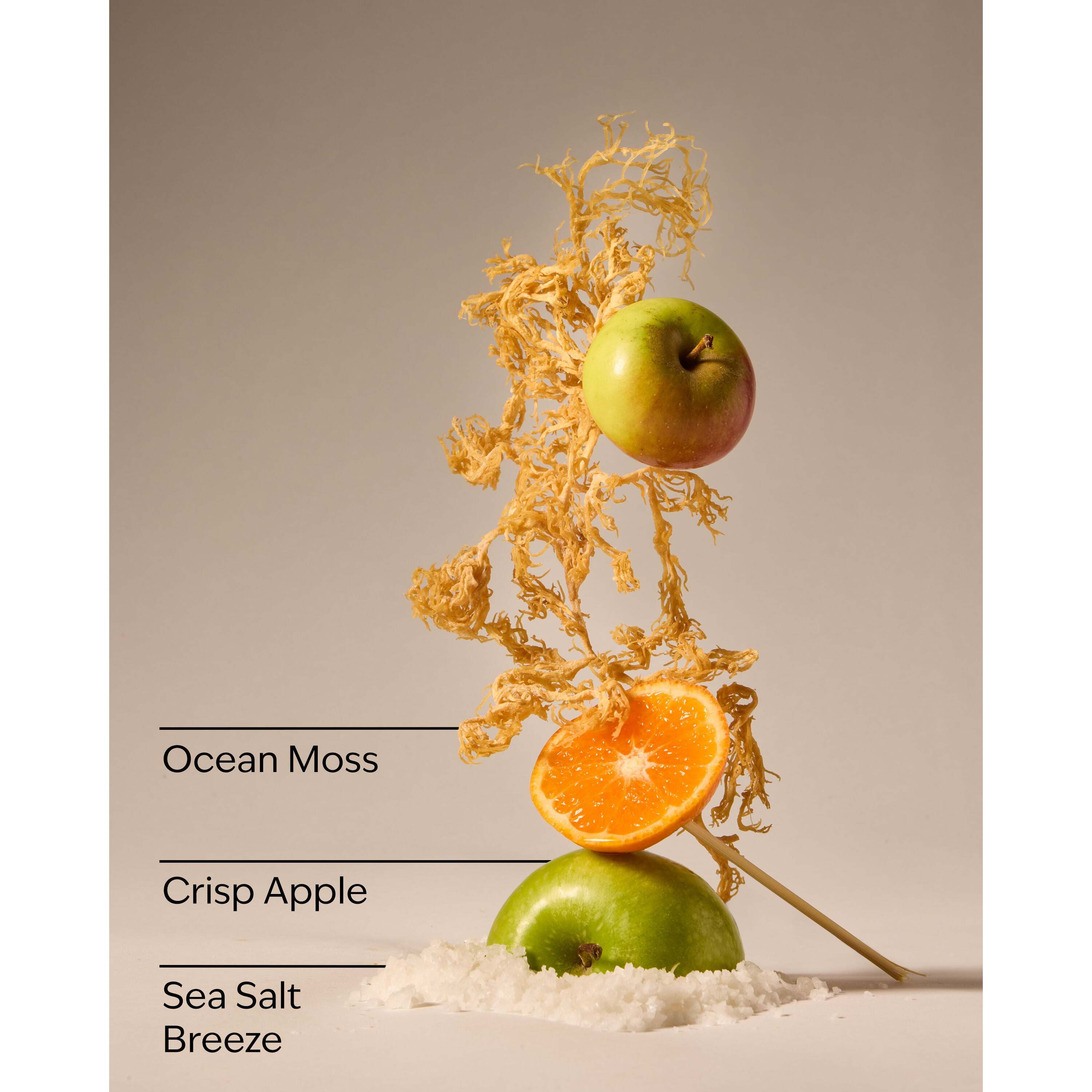 Marine Waves & Citrus Pocketbac Hand Sanitizer - Image 3