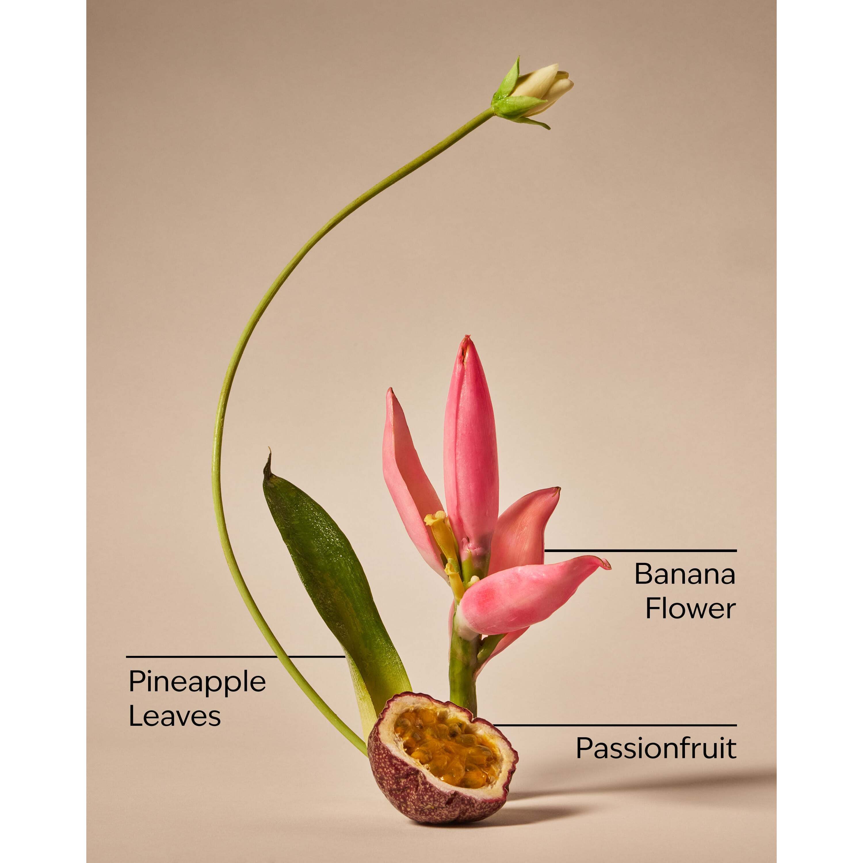 Bahamas Passionfruit & Banana Flower Fine Fragrance Mist - Image 3