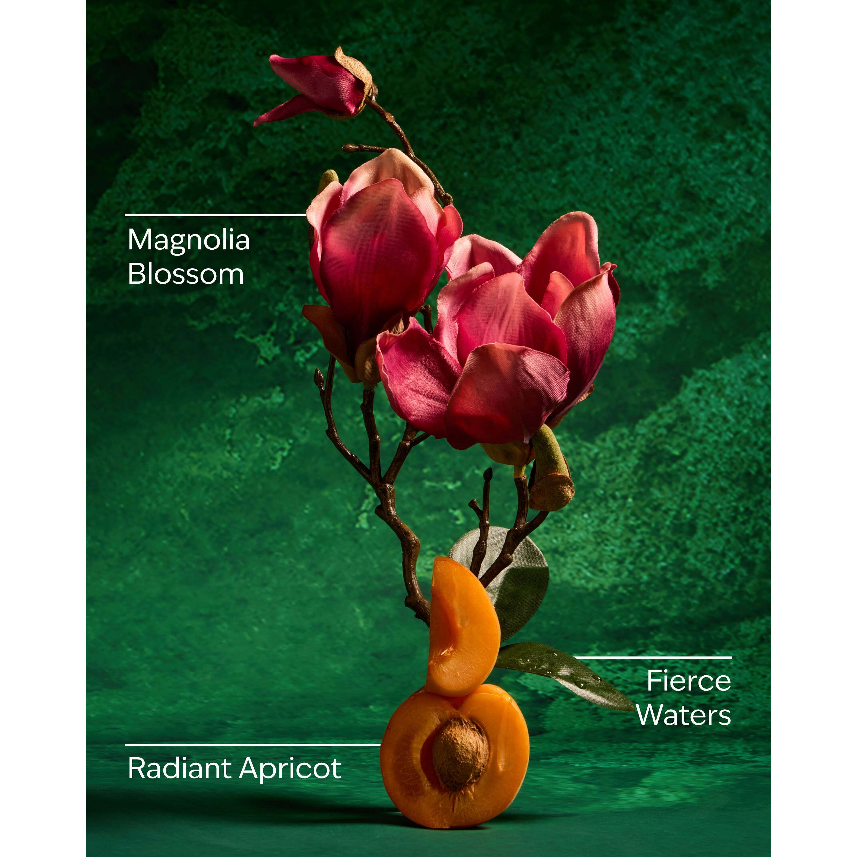 Mulan Fine Fragrance Mist - Image 3